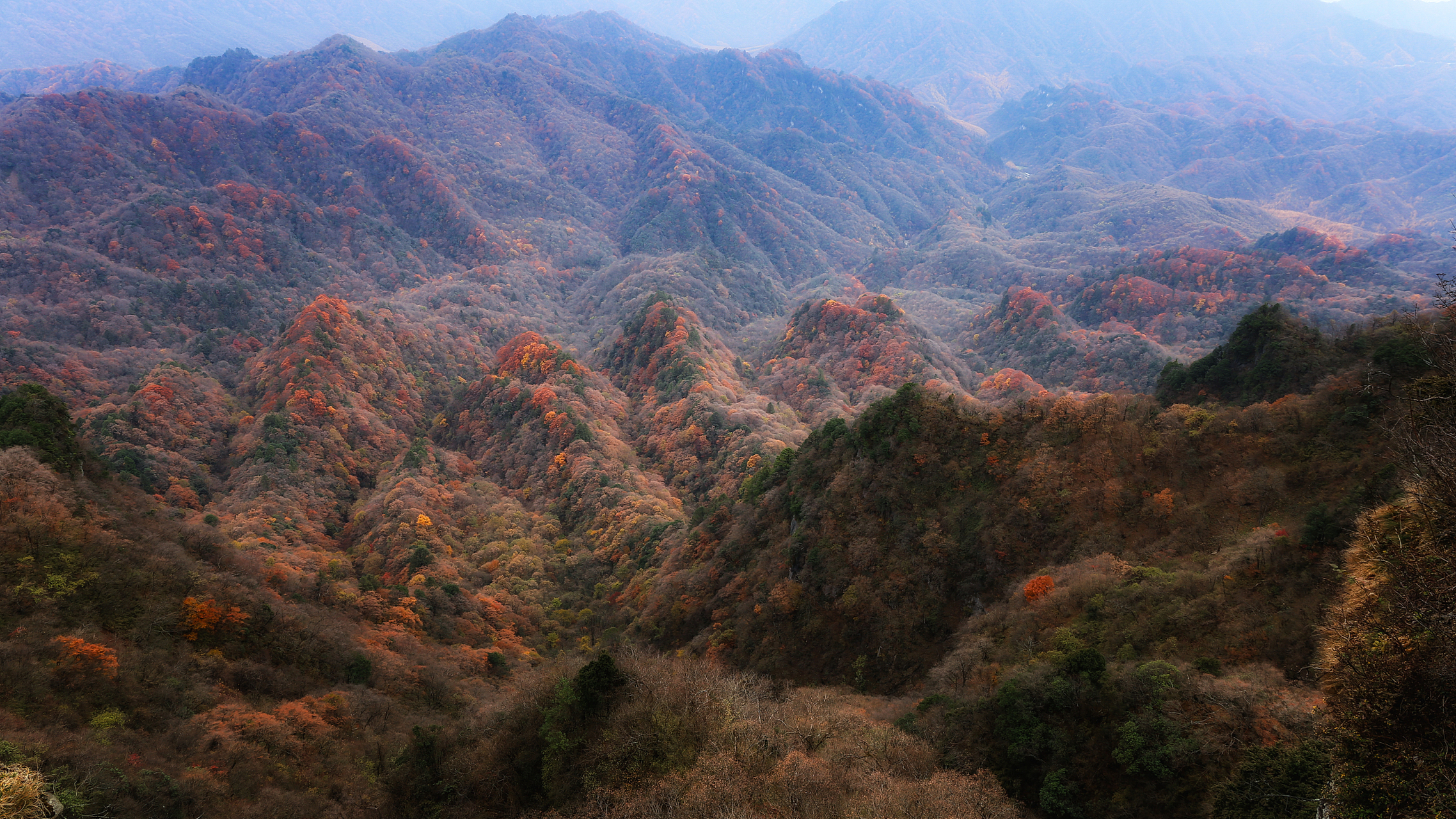 华蓥山的秋韵十分美丽迷人,让人流连忘返这.
