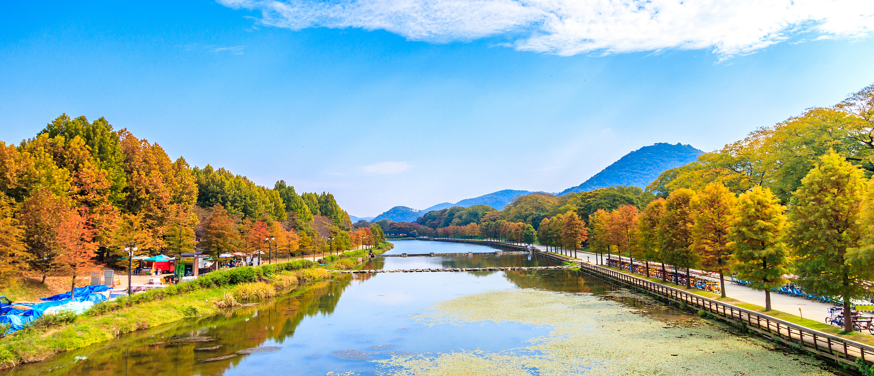 金秋图文动态创作节# 93永州市桐子坳景区:感受秋日红叶的魅力之旅