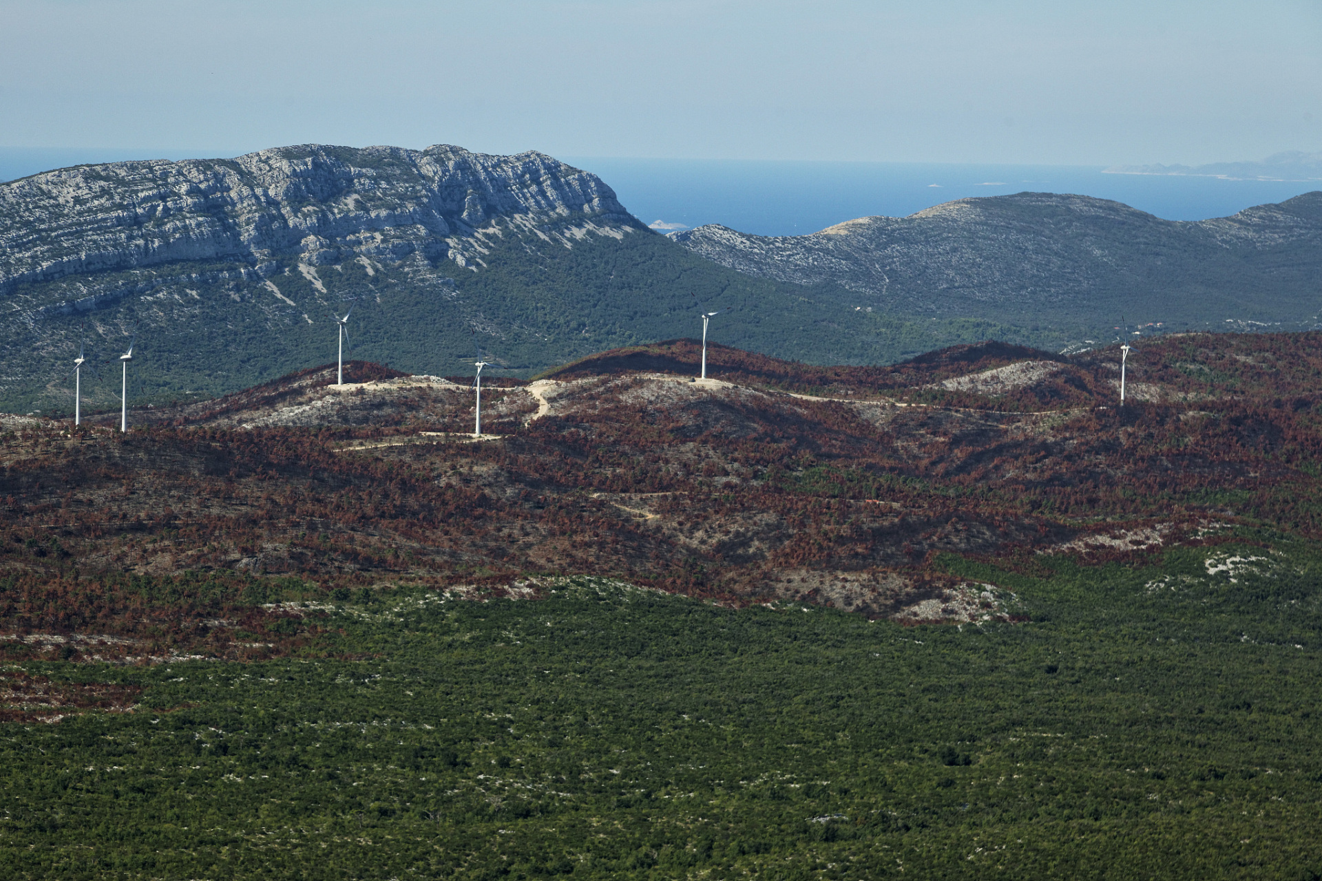 摩天岭:摩天岭是唐家河自然保护区内的一座山峰,海拔约3000米.