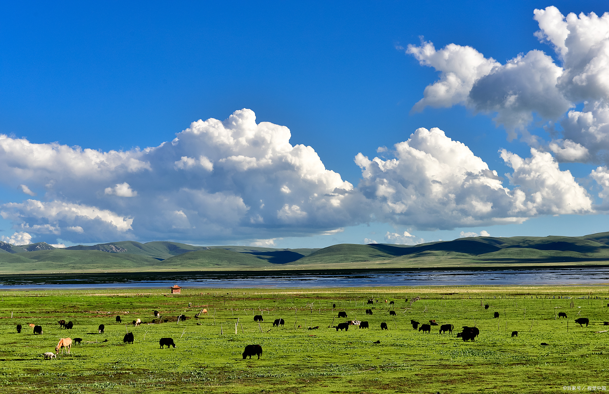 若尔盖草原介绍若尔盖草原,它位于四川省阿坝藏族羌族自治州若尔盖县