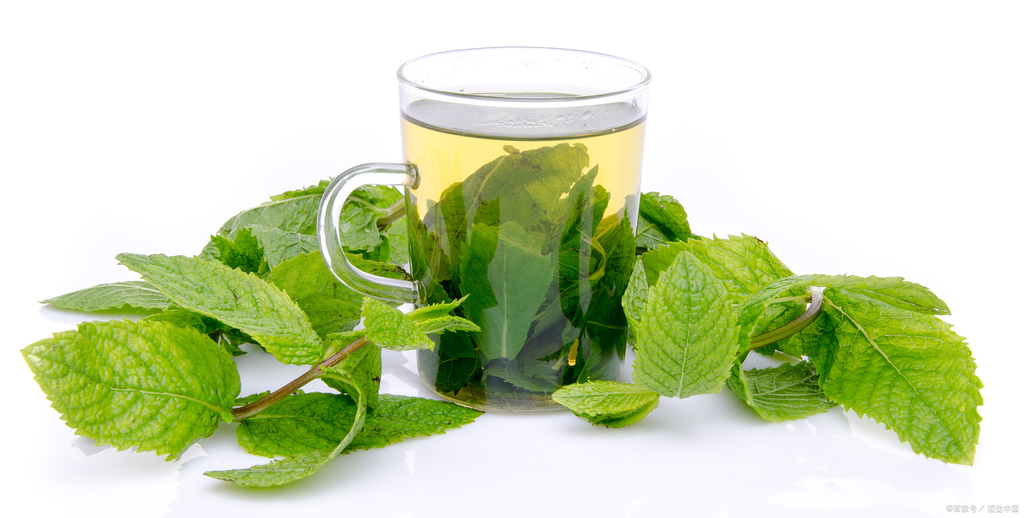 薄荷的做法,清新爽口:薄荷的独特魅力,教你制作令人陶醉的美味
