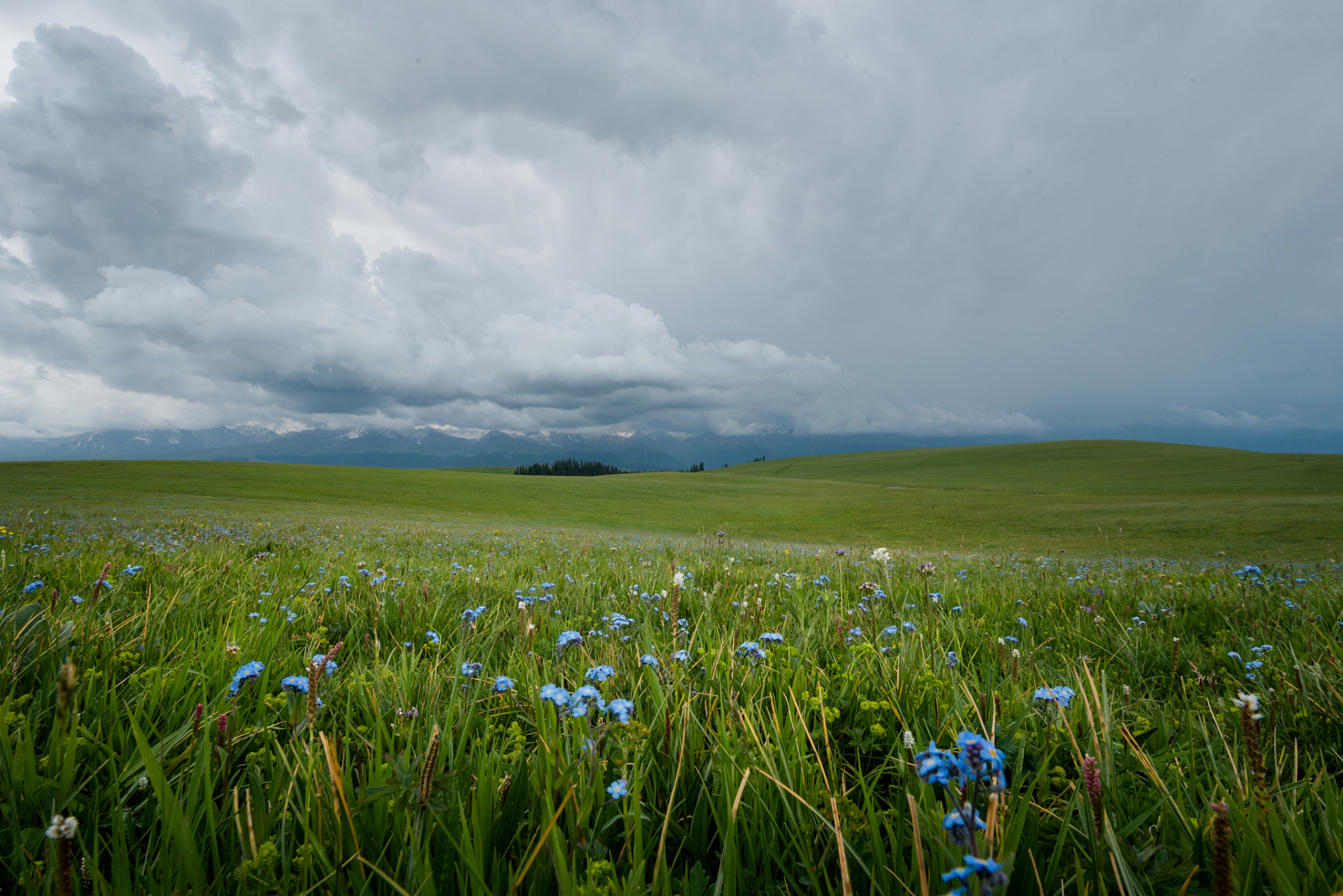 [原文:喀拉峻草原:大自然的