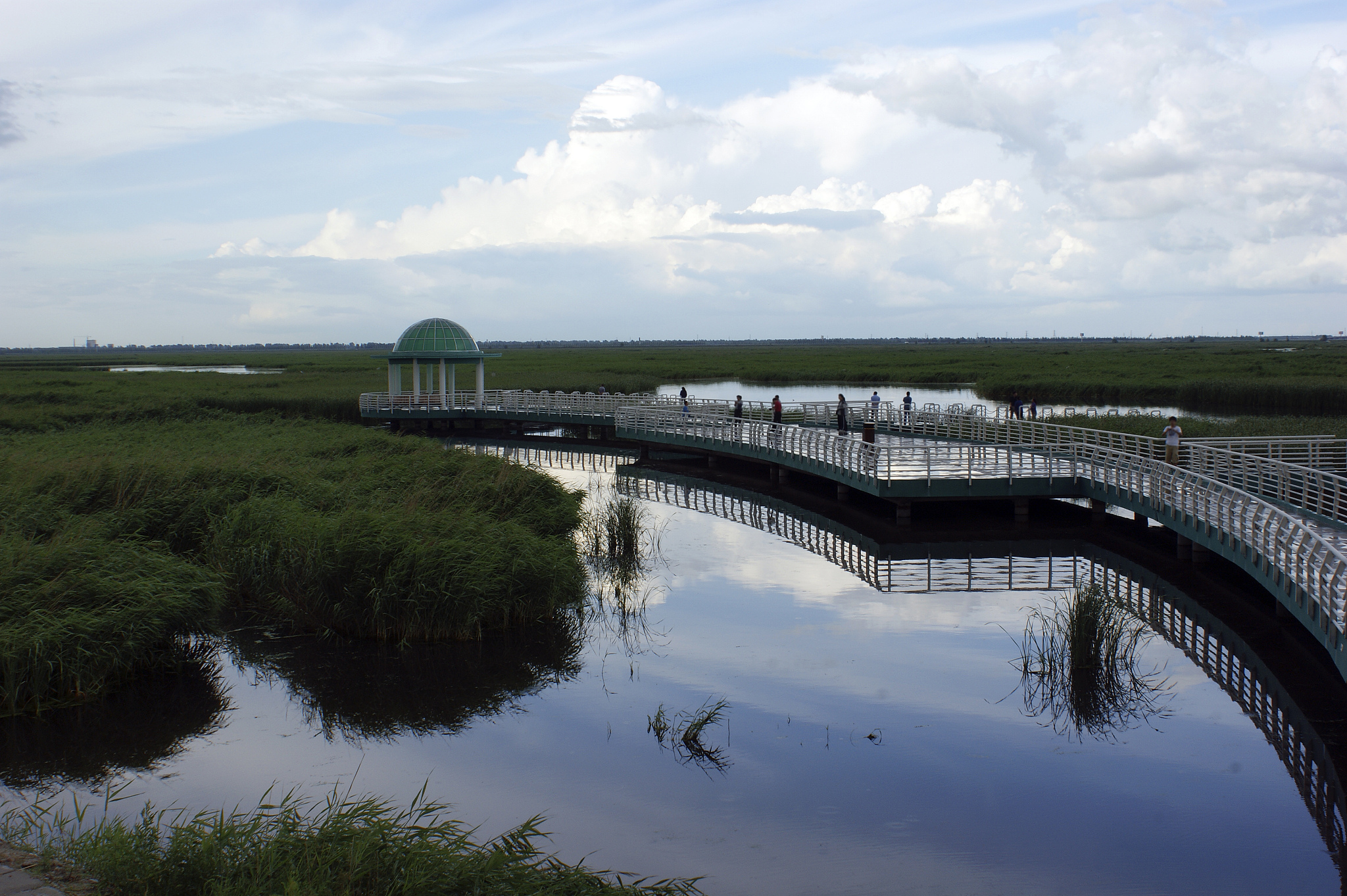《游吉林白城大安嫩江湾国家湿地公园,感受湿地风光》  大安嫩江湾