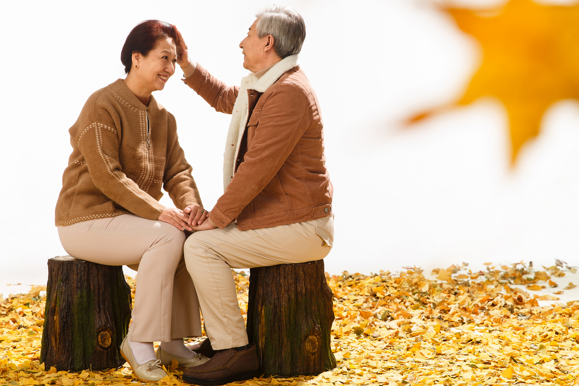 退休生活之五——老来伴  楼下二楼李大爷事业单位退休,老伴在50岁时