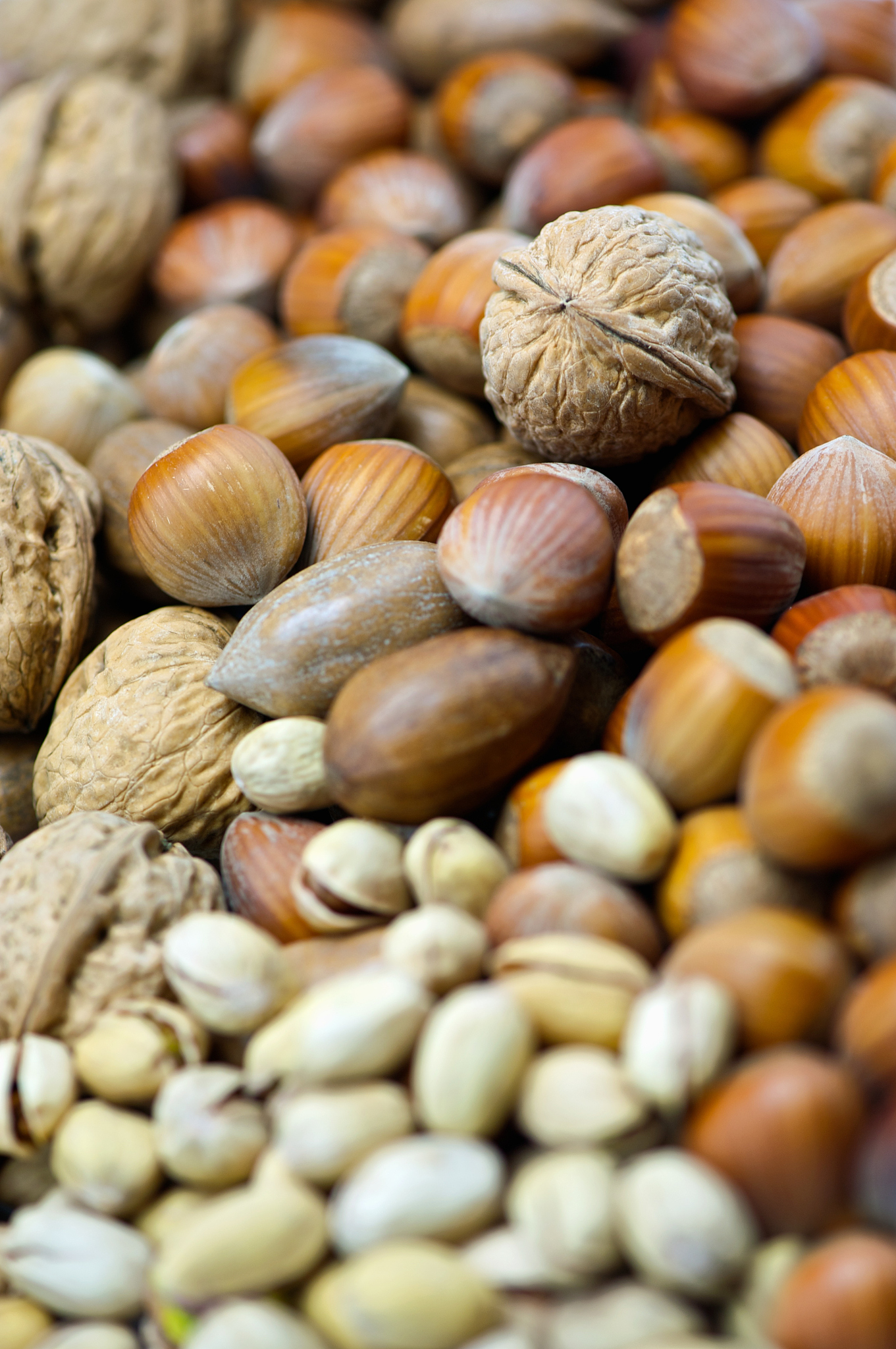 核桃,又称胡桃,是一种广泛种植的坚果类植物,其来源可以追溯到几千年