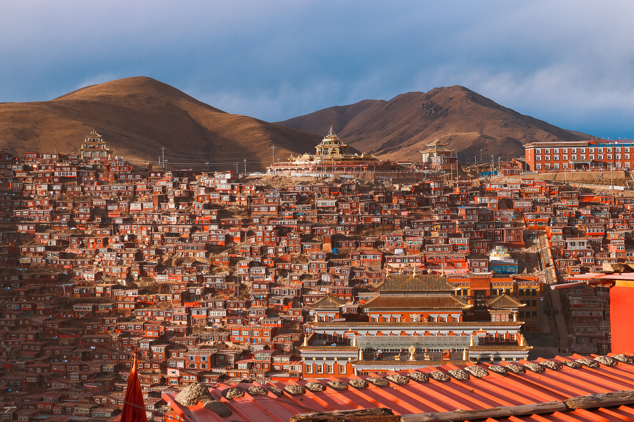 在甘孜的塔公寺,是否能体验到最深厚的藏传佛教文化?