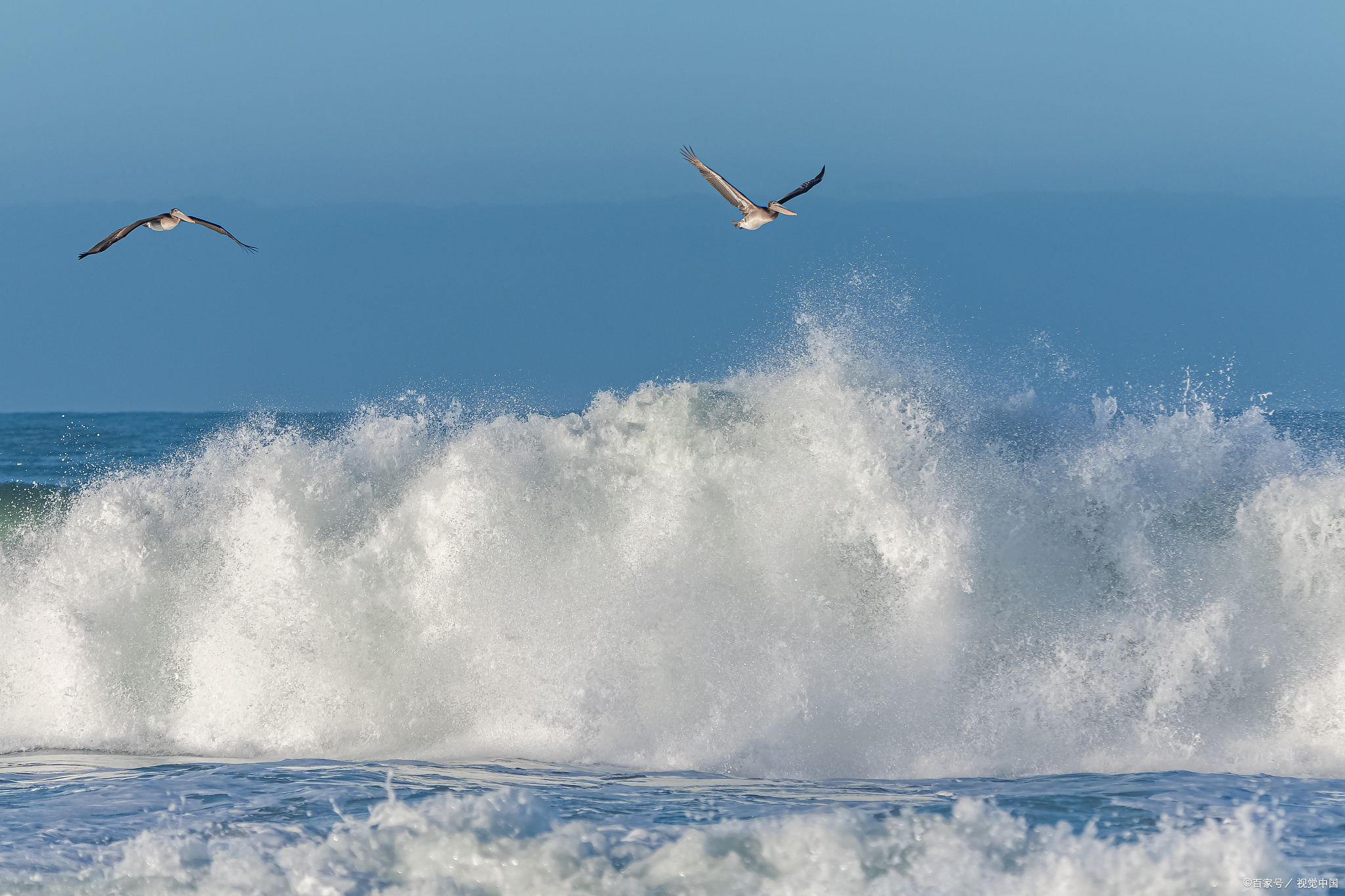 古典诗词名句今用,是一种普遍的语言现象