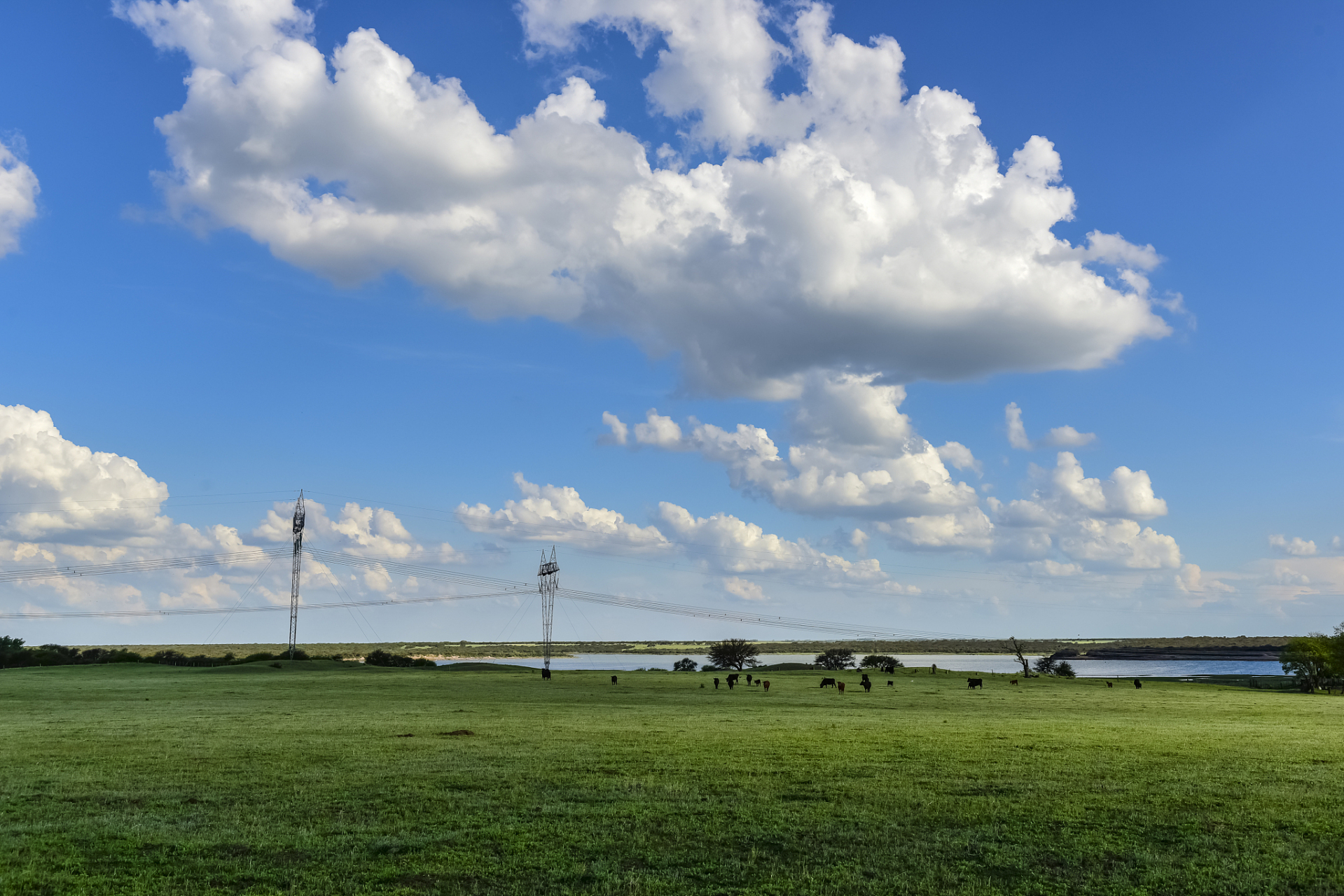 呼伦贝尔的夏天,是一段梦幻般的旅程.