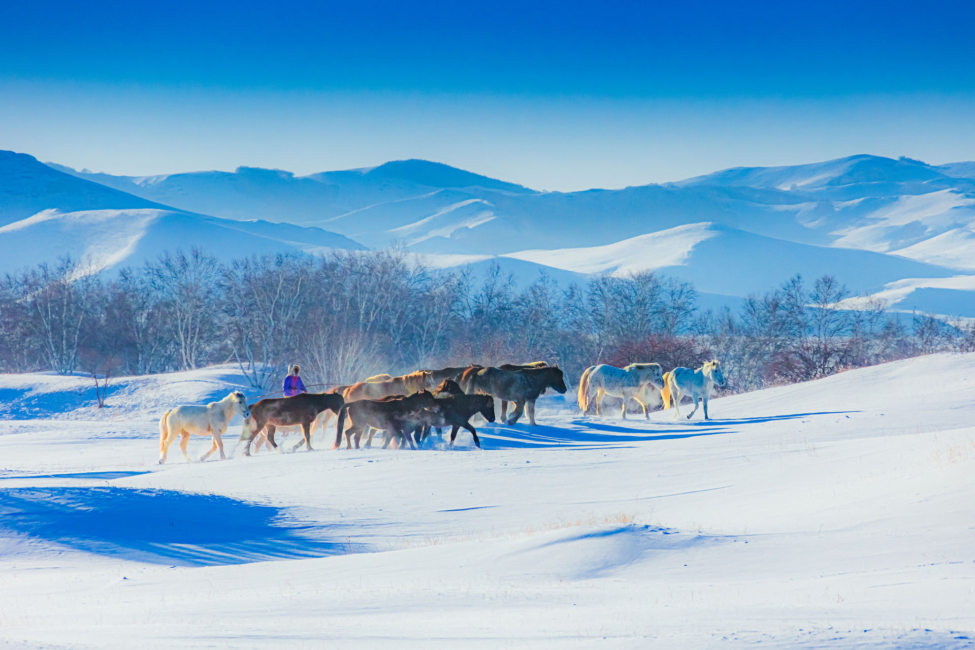 内蒙古自治区特色美景图片