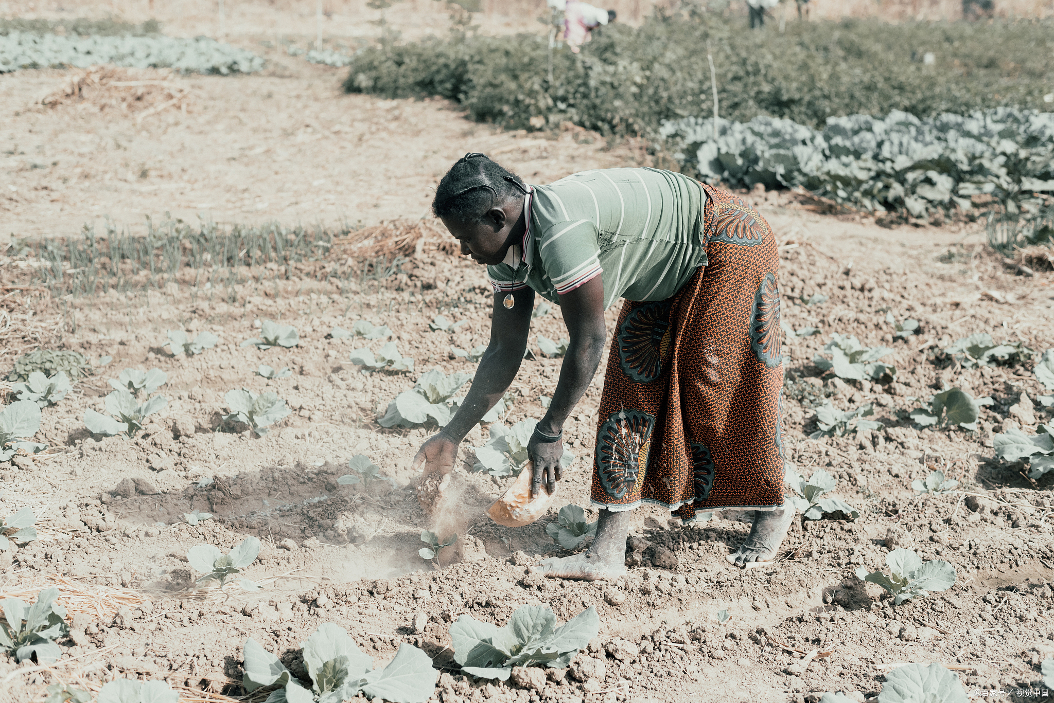 苏丹四成人口陷入饥荒,世界粮署发布报告警示全球粮食安全!