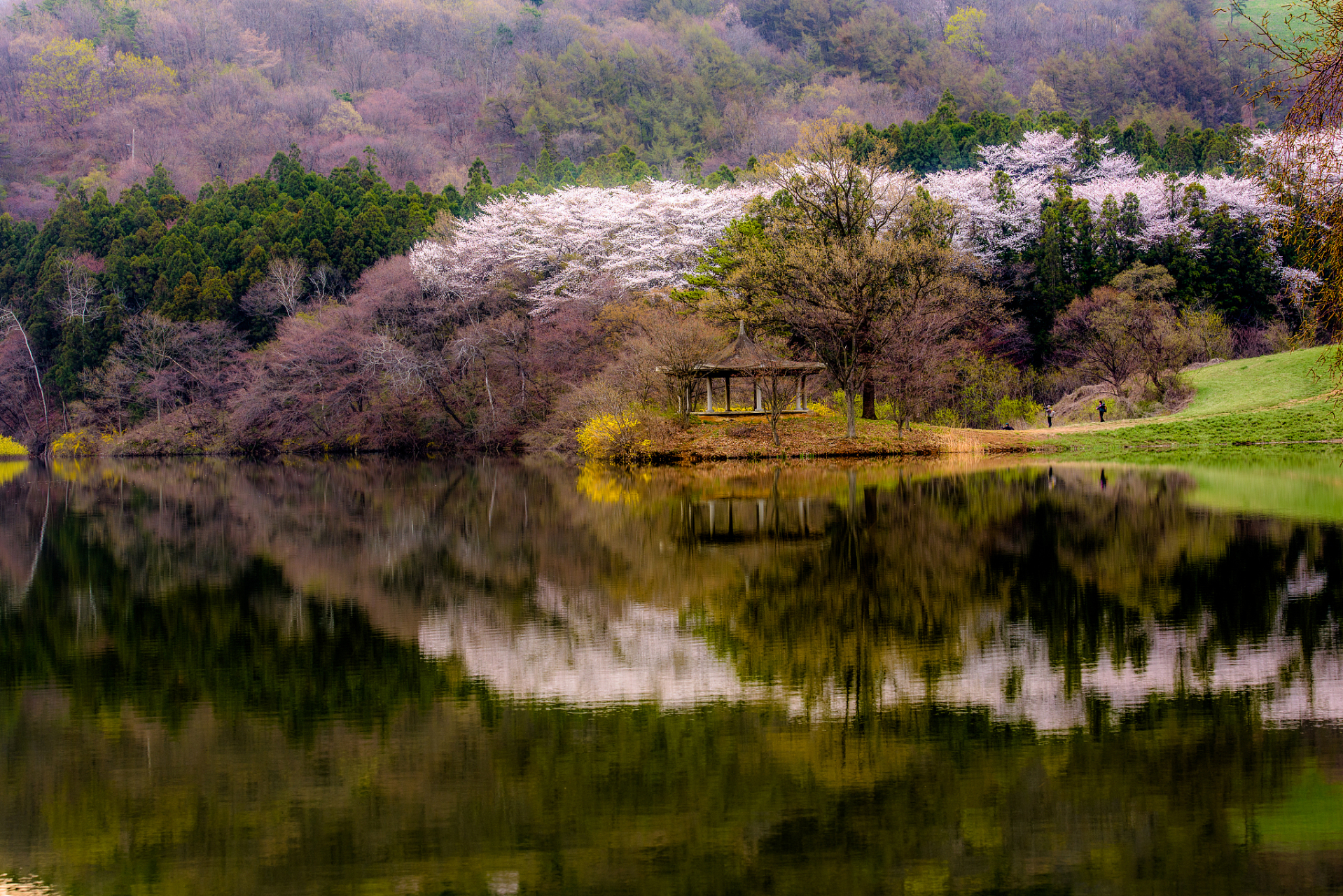 乐享周末分享吧# 浙江舟山桃花岛风景区拥有六大景区,包括桃花峪
