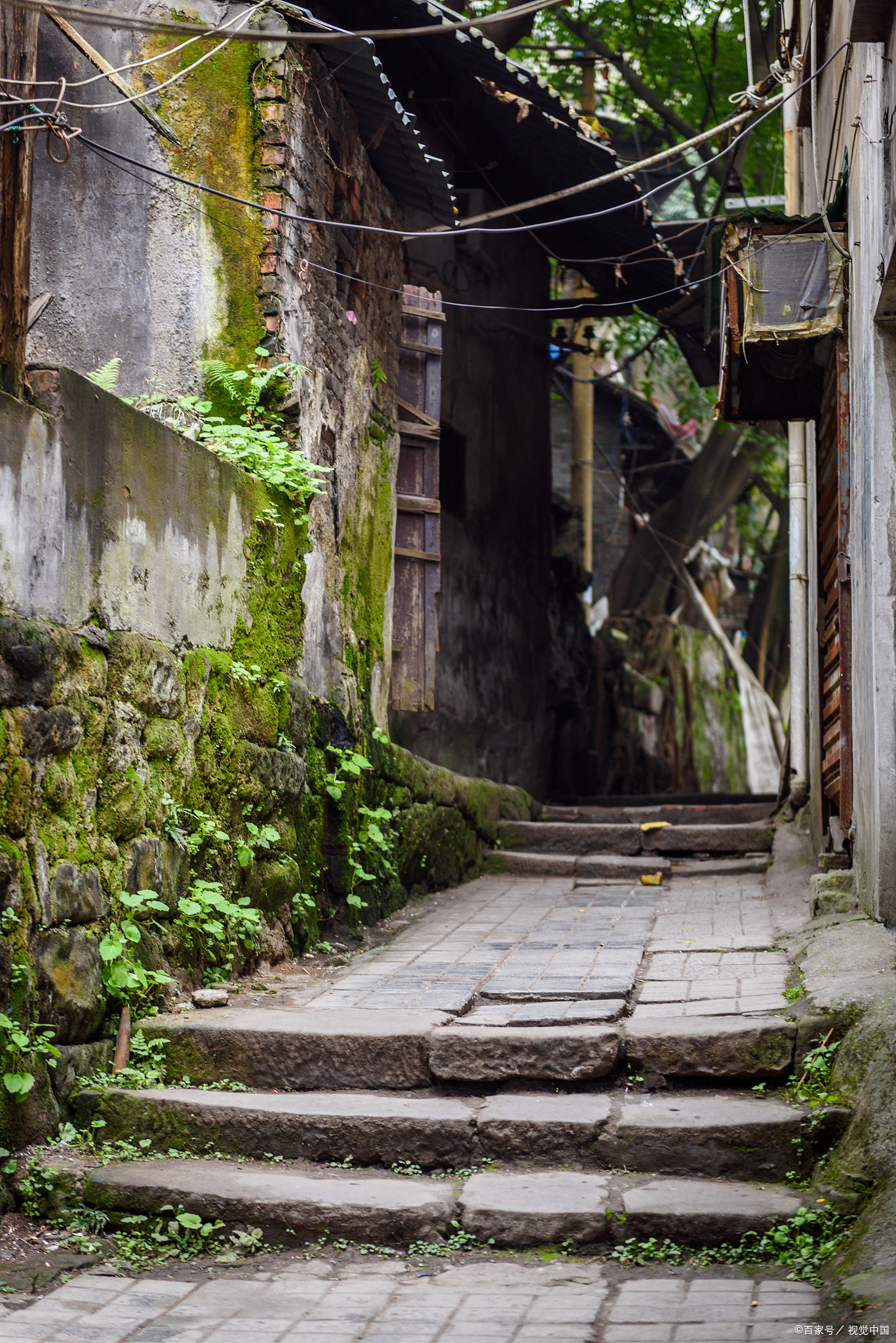 热点引擎计划#:在这个数字化浪潮汹涌的时代,我们精