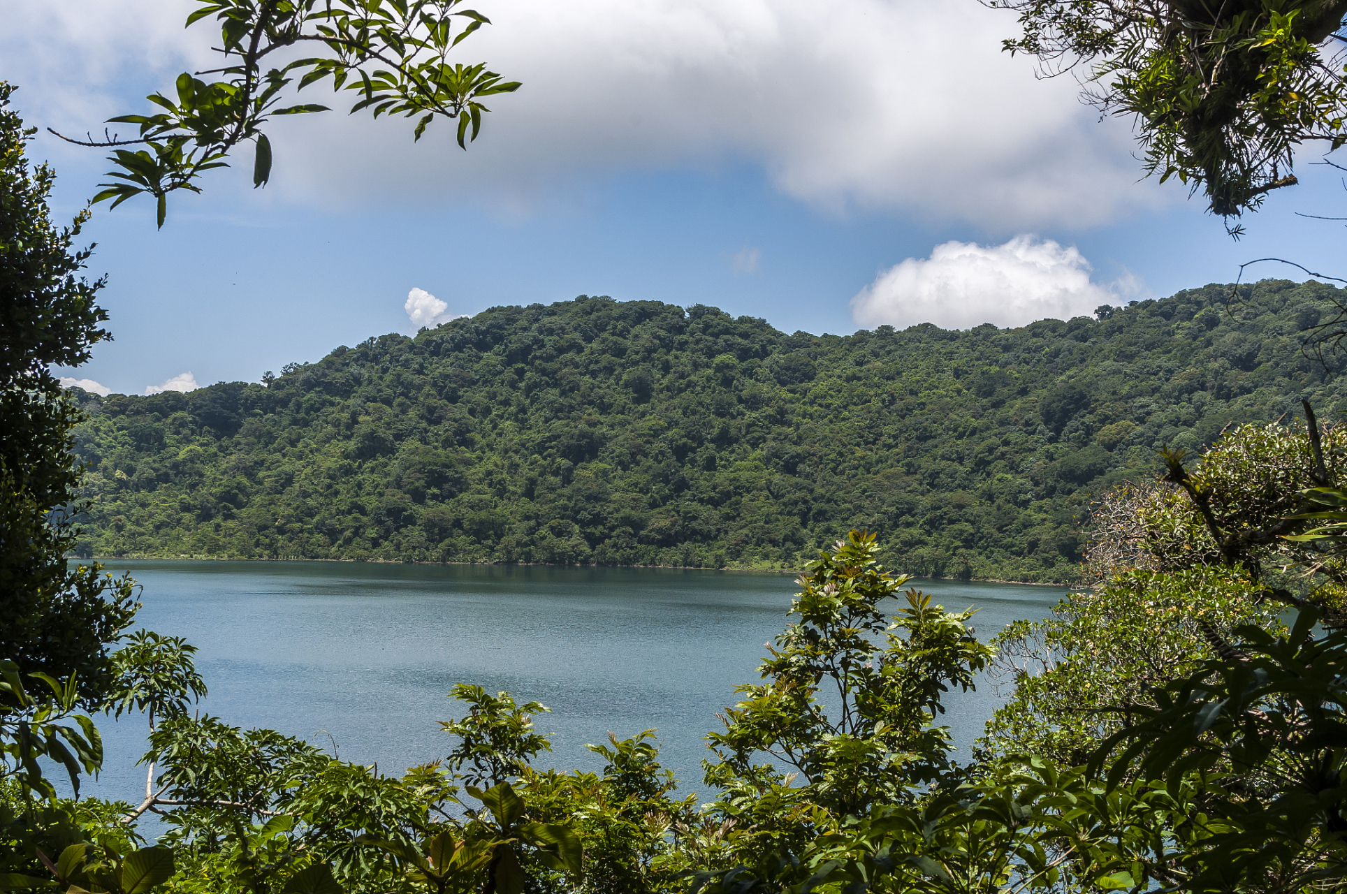 今天,我带着期待和探索的心情,来到了从化天湖风景区.这里有着如诗如