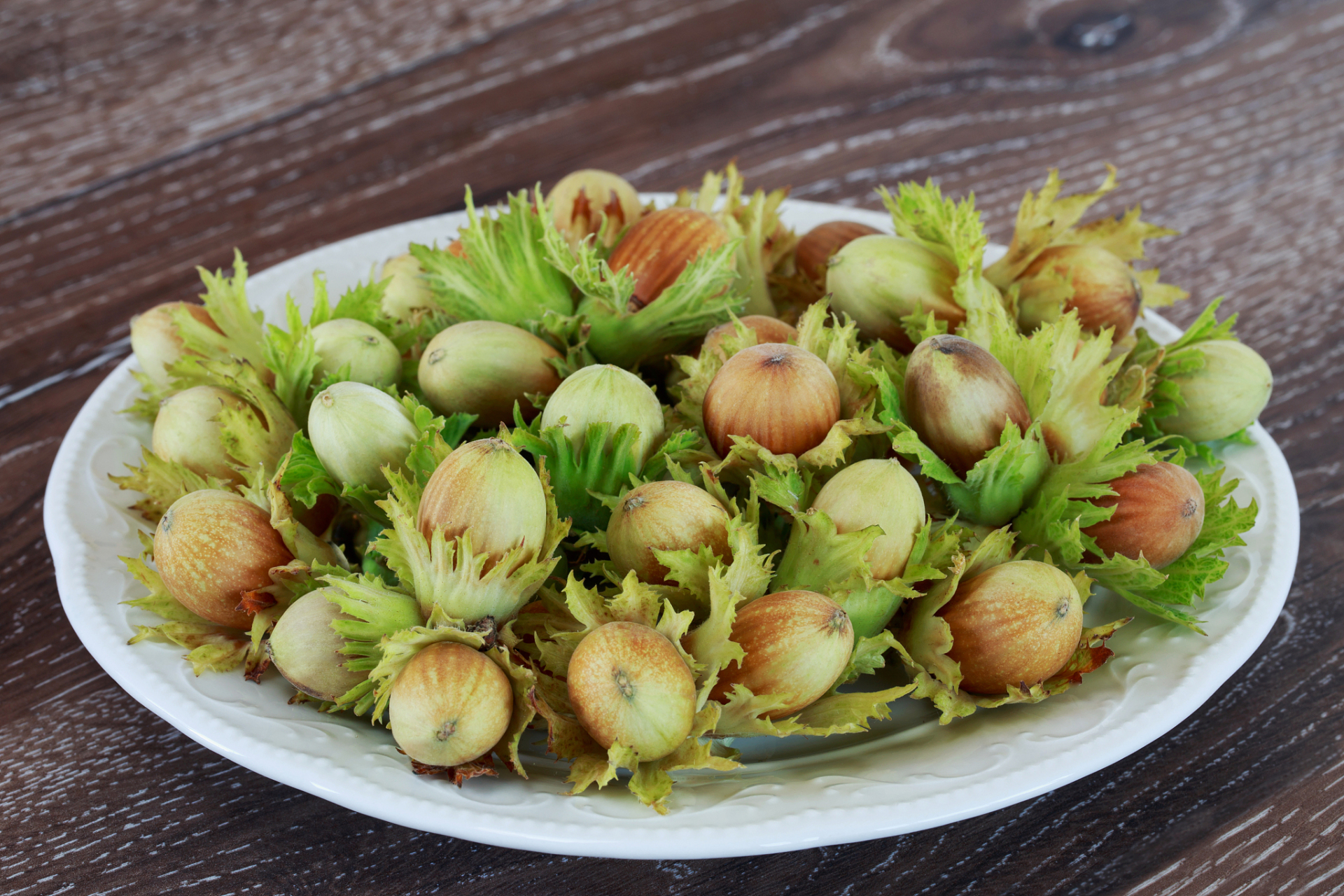 晒出上学时的你# 959595 鲜榛子果来啦!