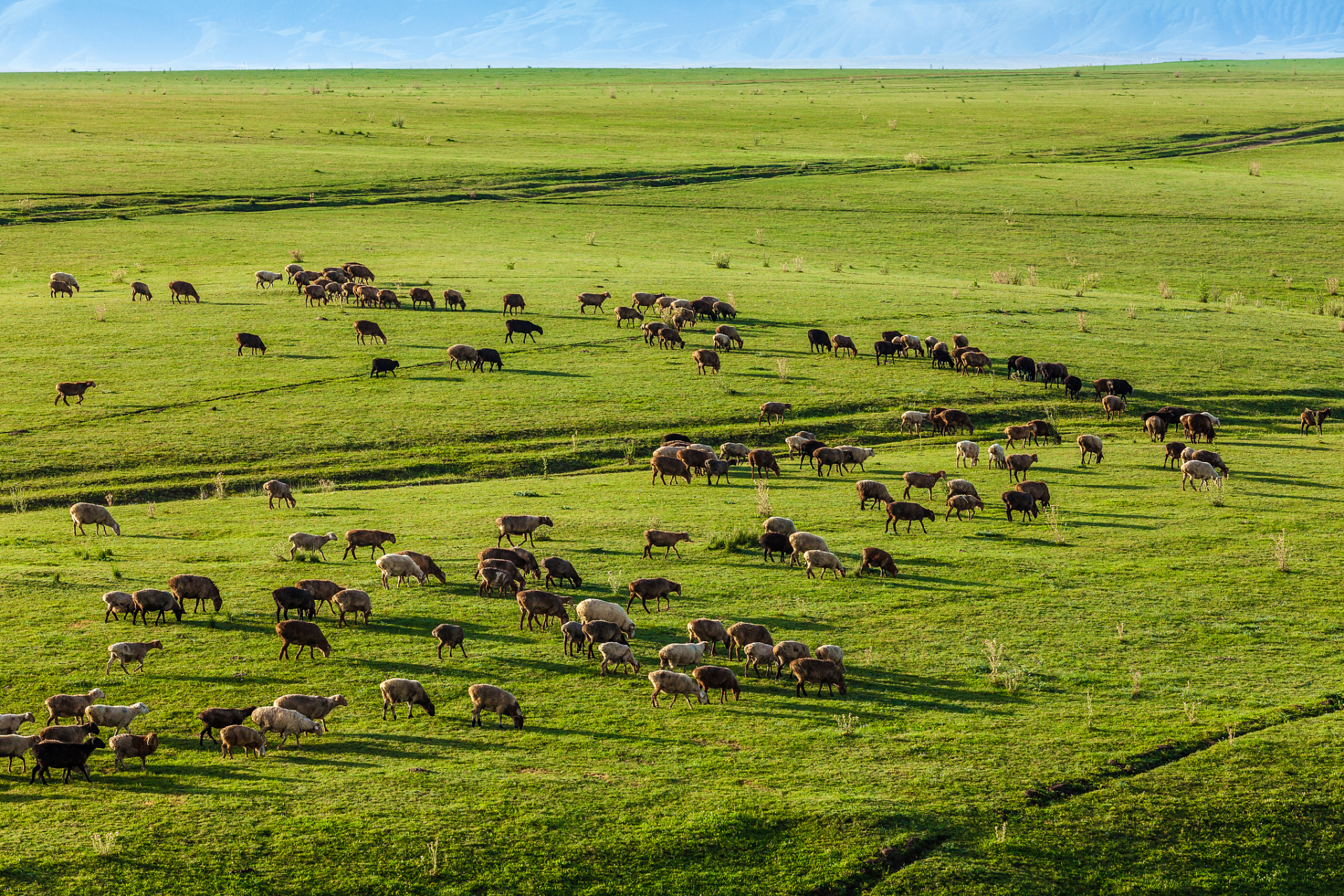 哈萨克草原是一个广袤而美丽的草原,位于哈萨克斯坦的中部和东部.