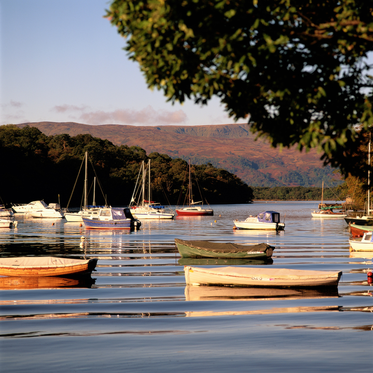 洛蒙德湖是英国苏格兰最大的湖泊.