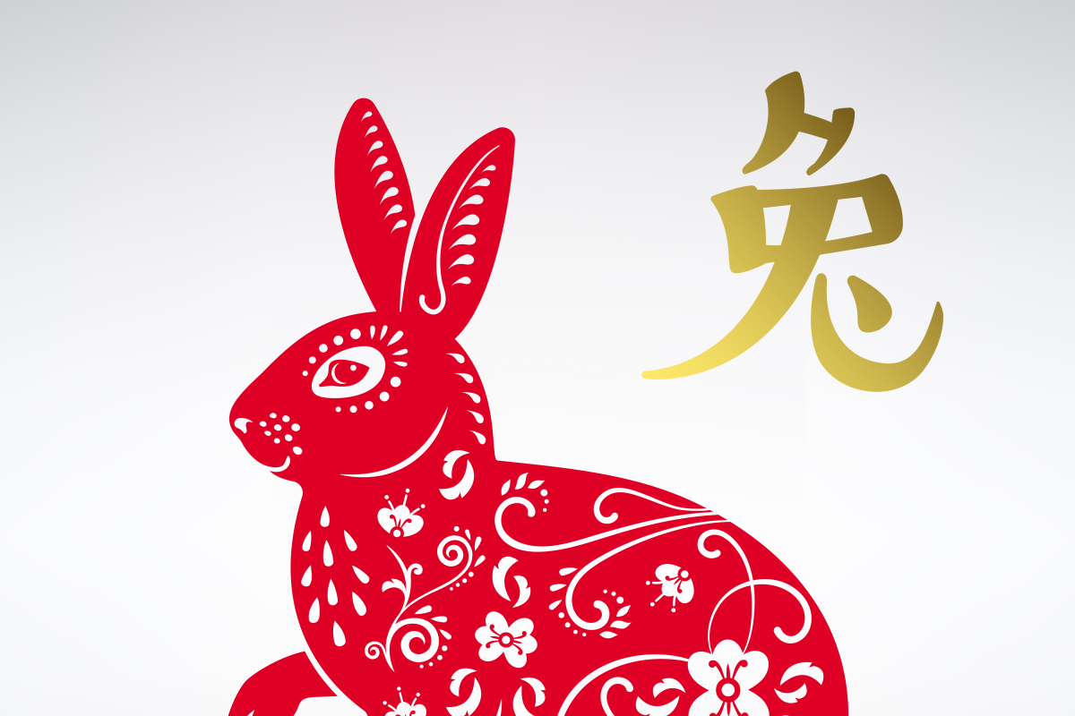 生肖兔本月财运和运势查询(属兔的本月财运怎么样)