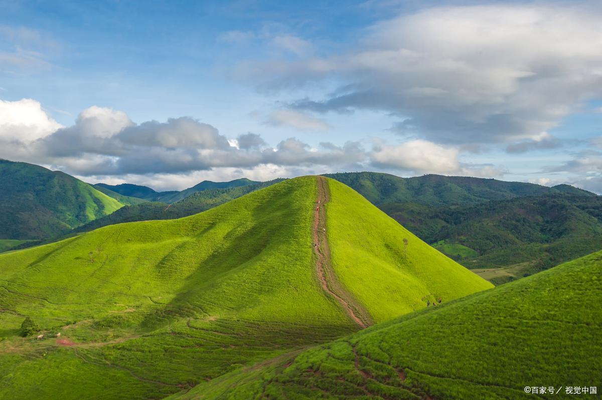 茂名信宜天马山草原,南方罕见高山草原!