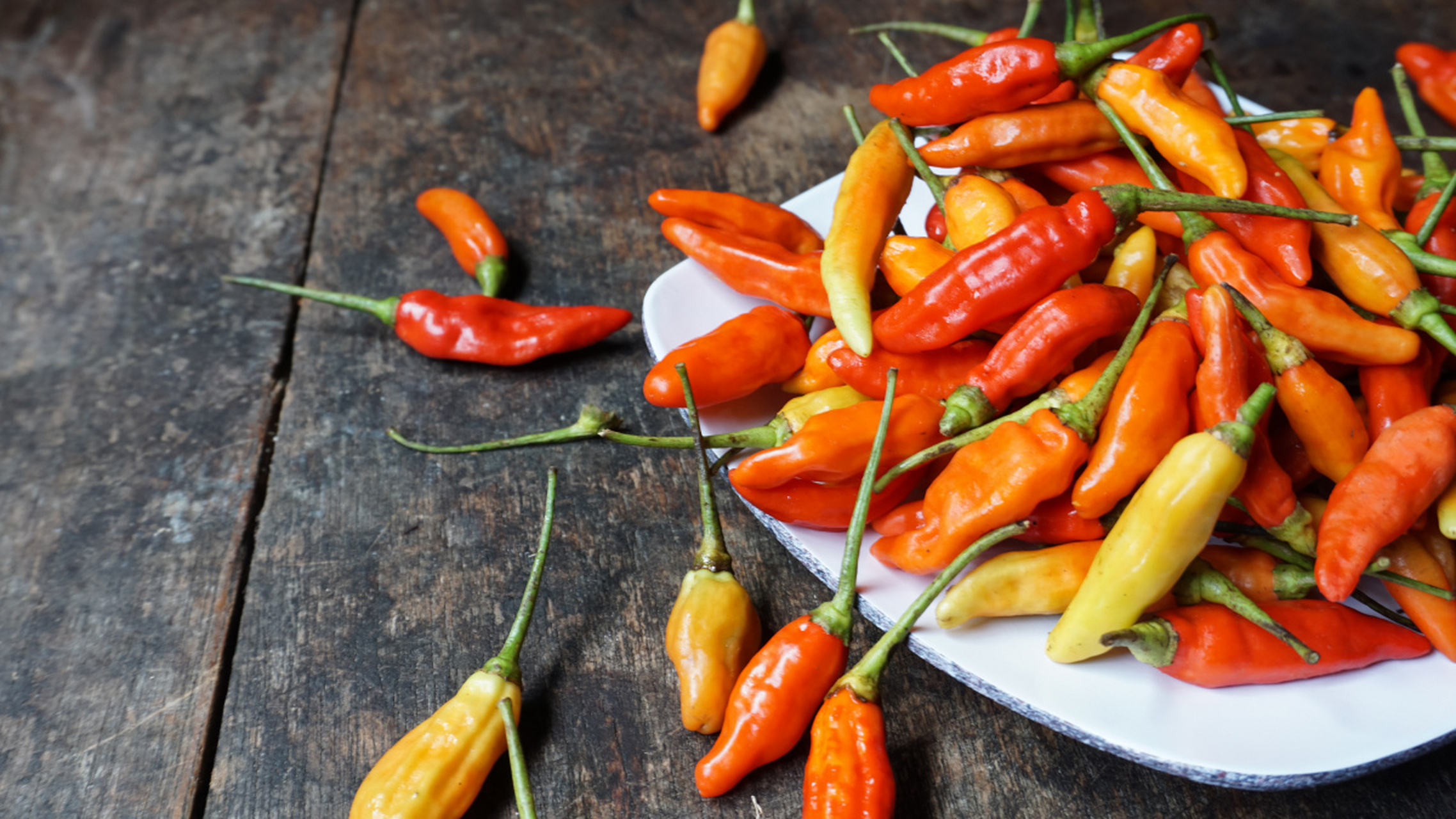 这是因为辣椒中含有一种化学物质 capsaicin(辣椒素),会刺激我们的