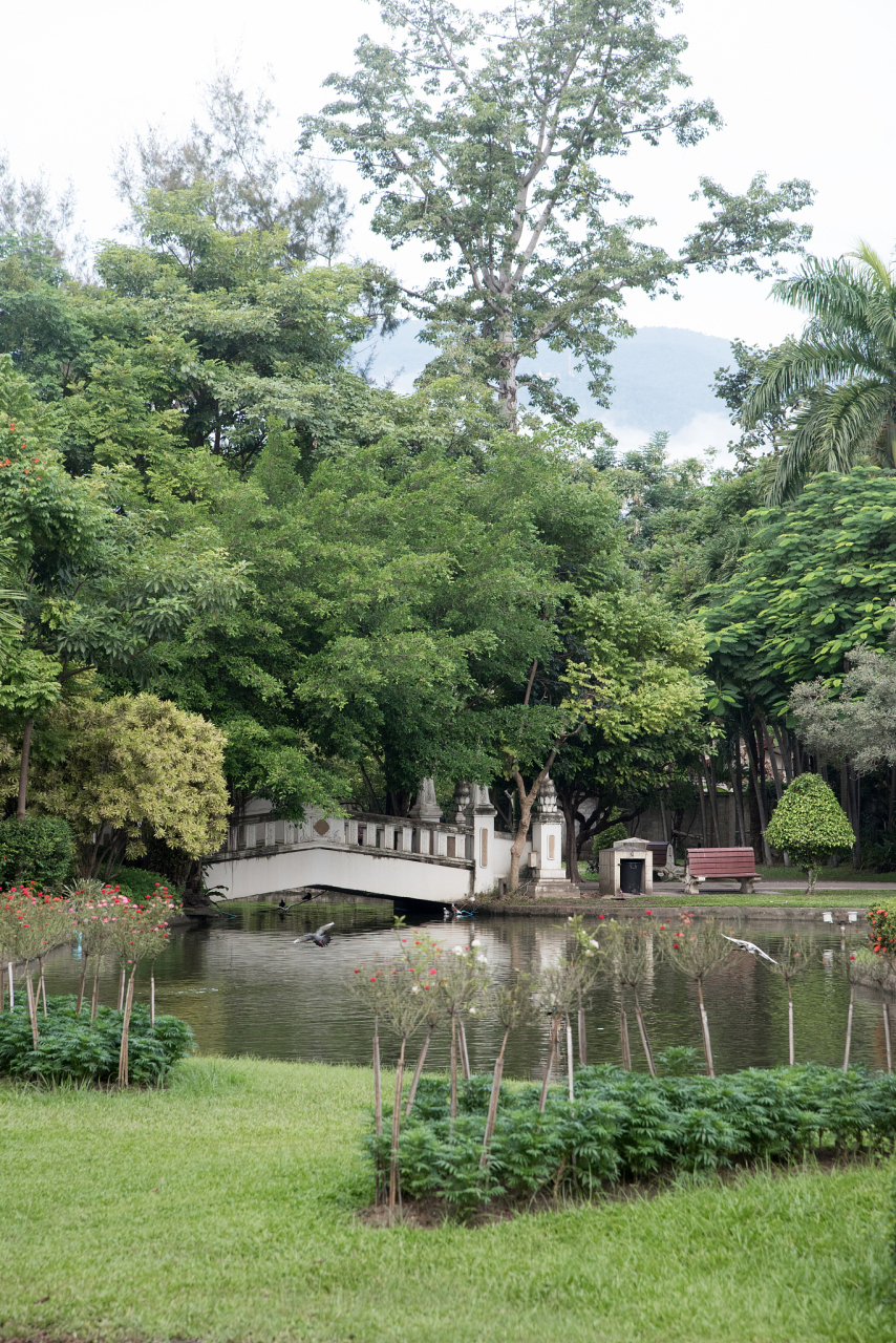 上海复兴岛公园宛如一颗隐匿于都市喧嚣中的宁静明珠.