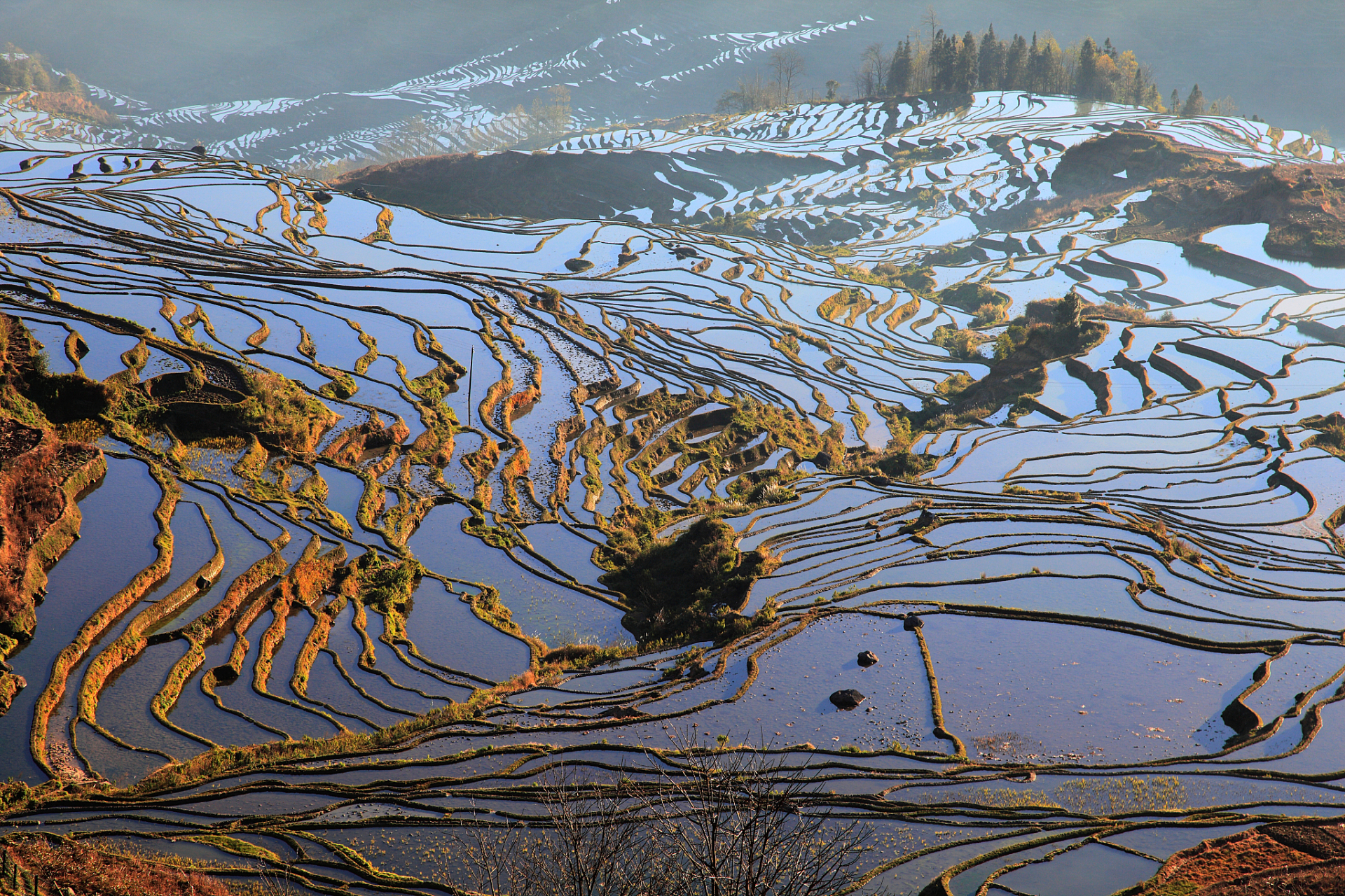 元旦假期红河旅游必去的两个景点是元阳梯田和建水古城.