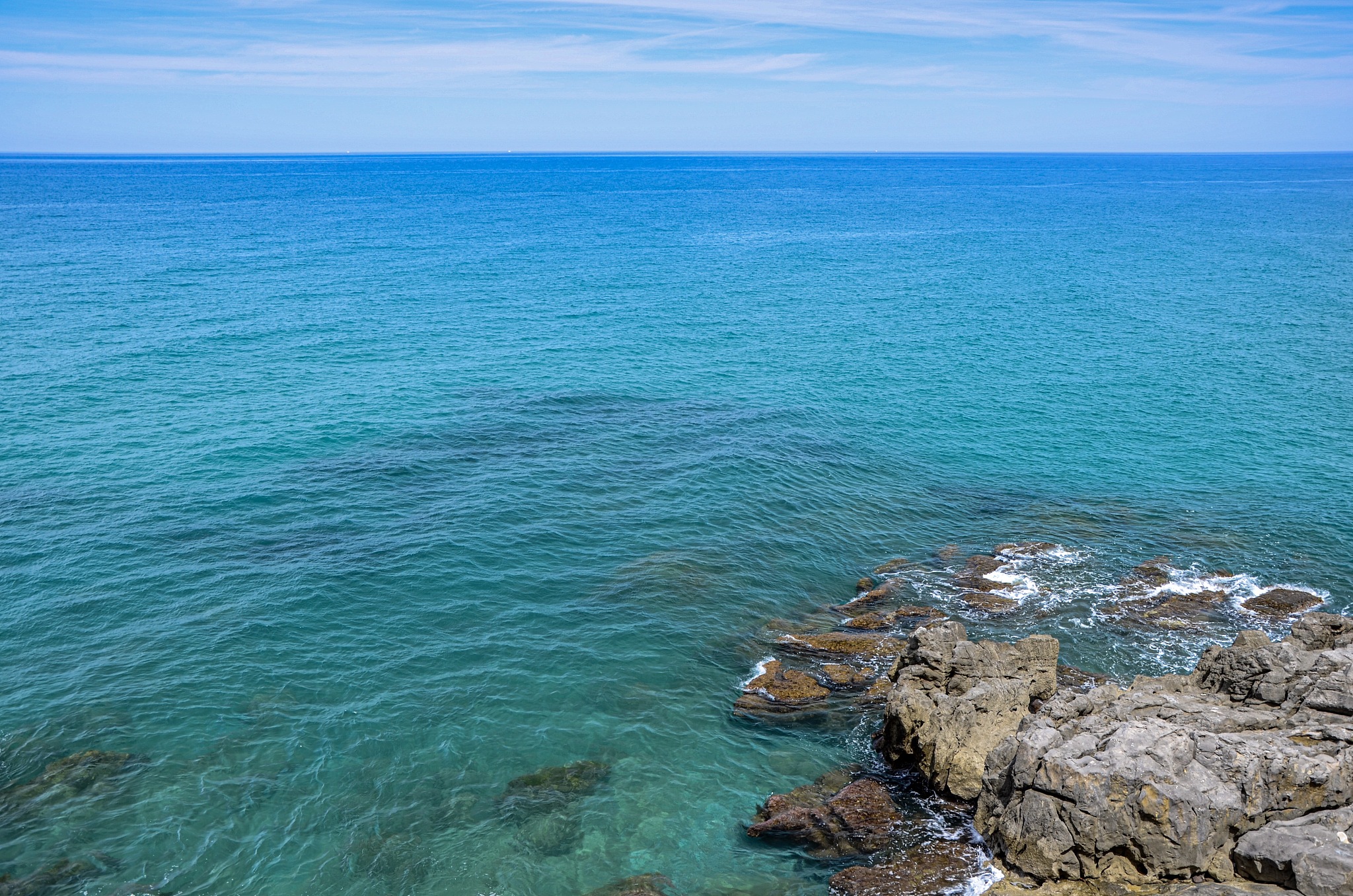 an 2021中文版中文版下载-animate软件下载手机版