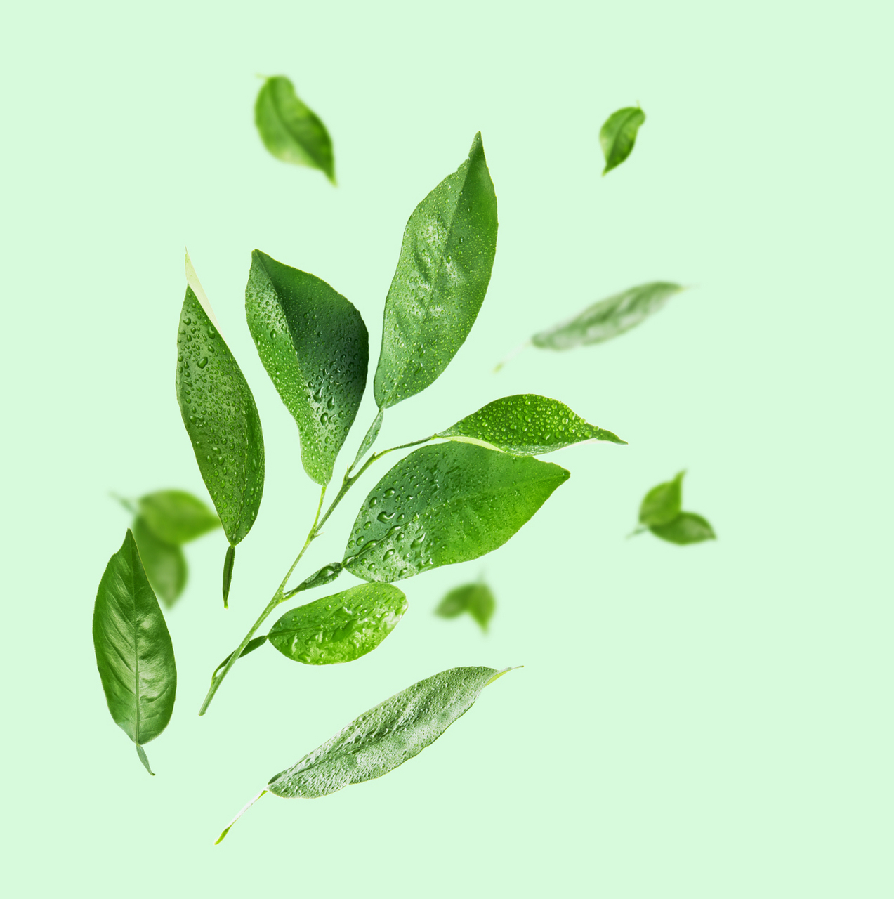 我国古代,端午节还有一项习俗就是斗草.