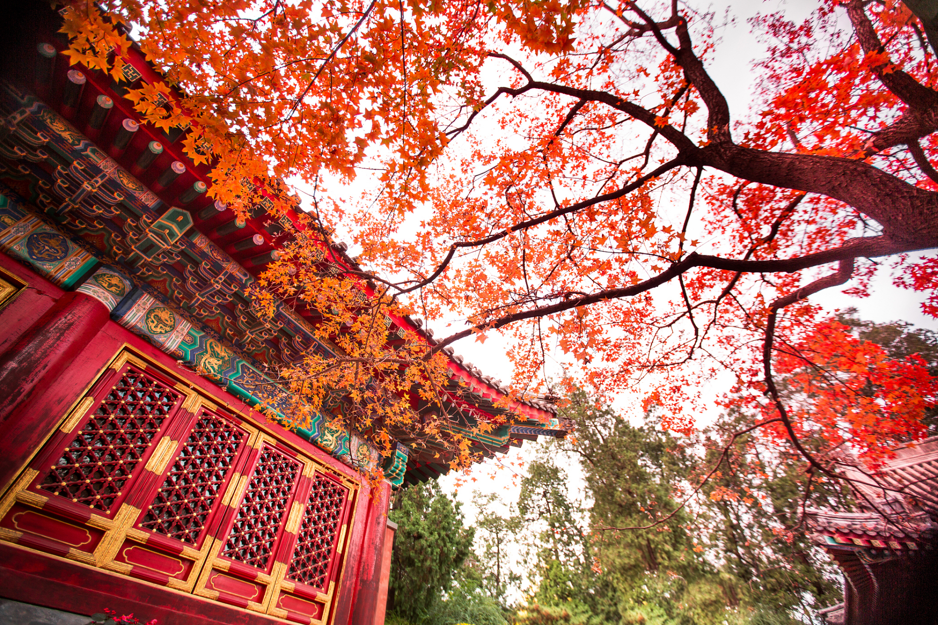 秋天的香山公园图片
