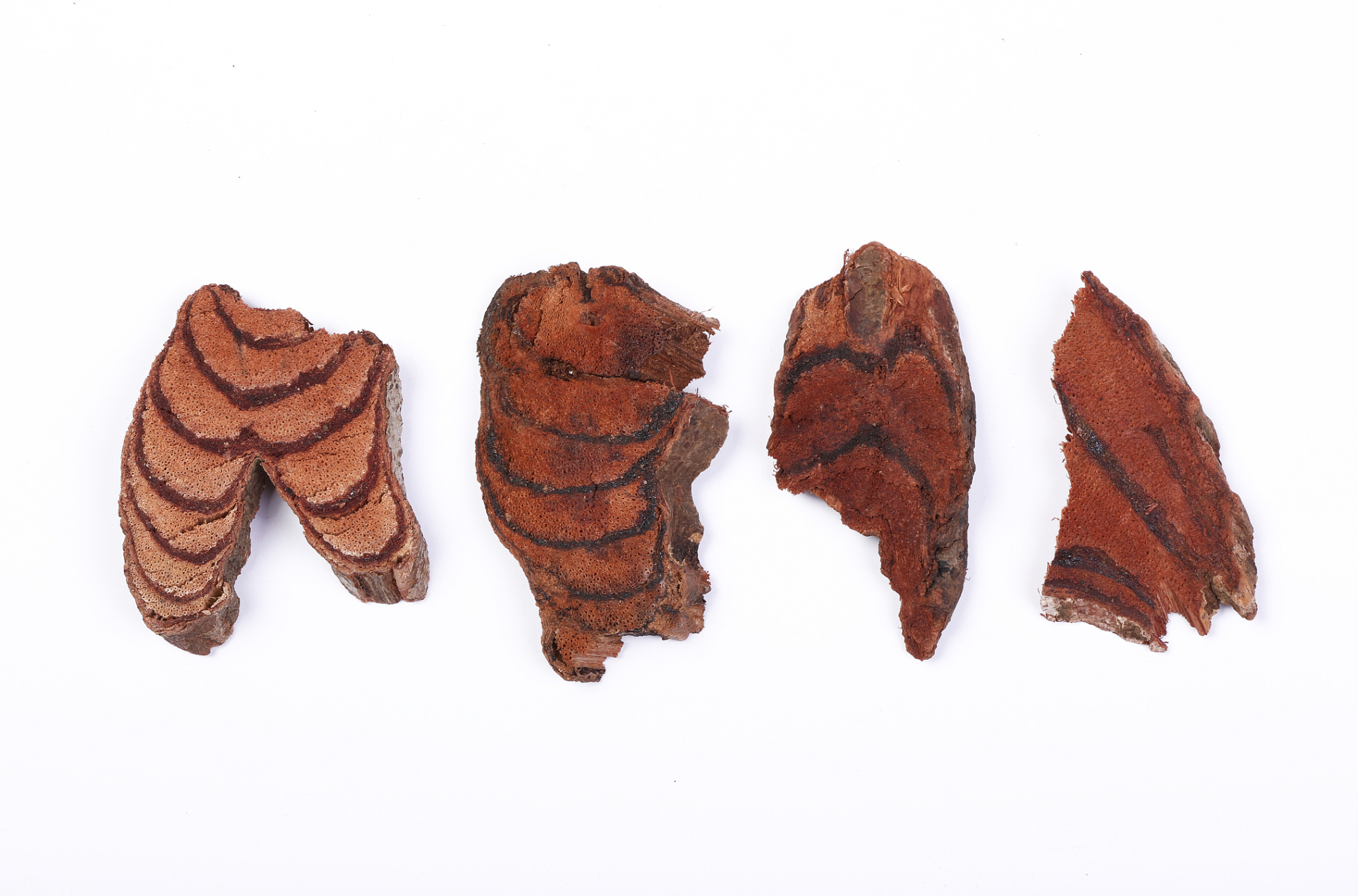 鸡血藤是常用大宗药材,过去因资源丰富,价格低廉,长期以来行情相对