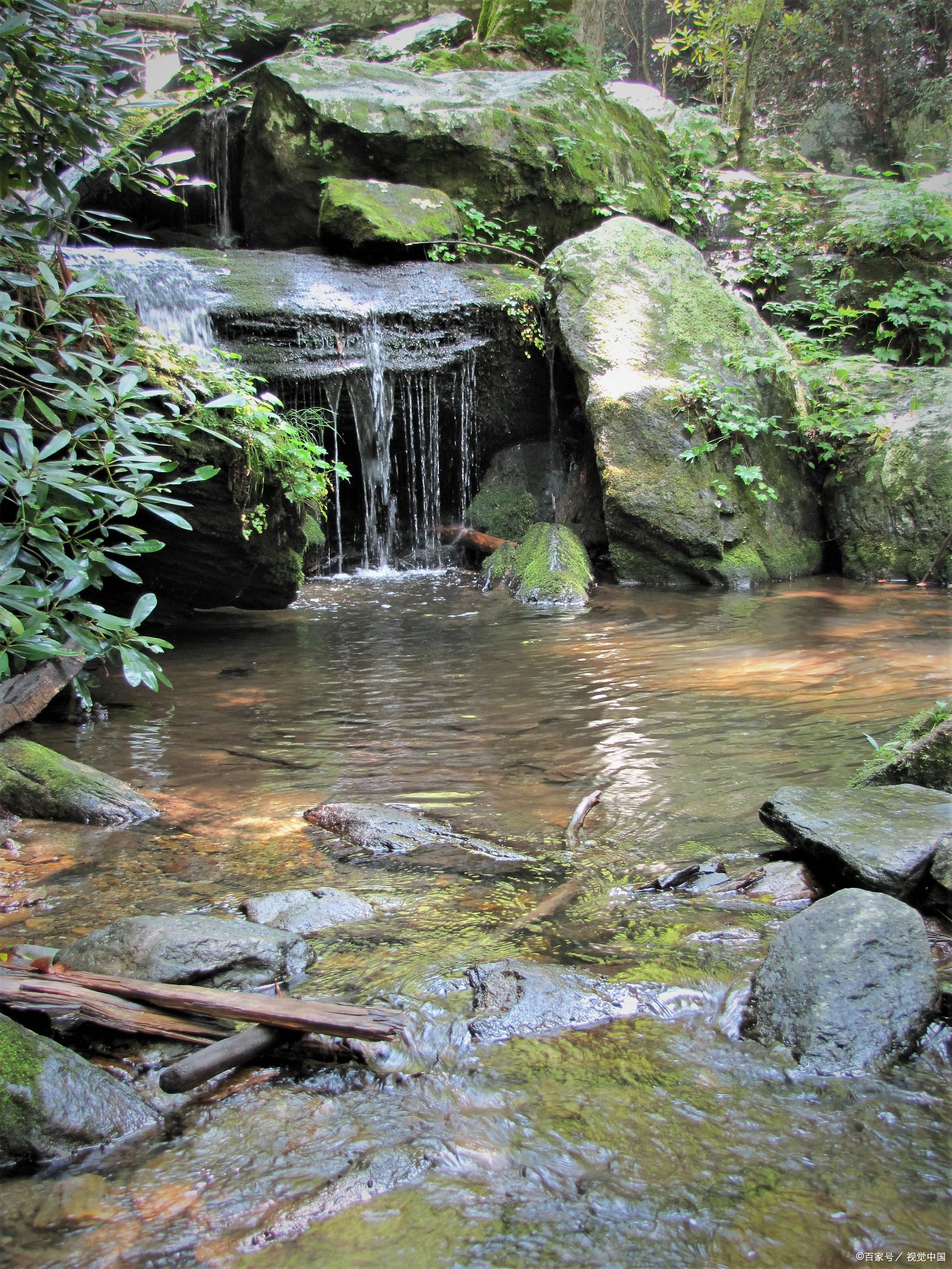 夏日闪光旅行家# 龙井沟风景区,山清水秀,宛如世外桃源