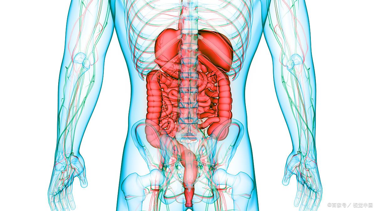 在正常生理状态下,人体腹腔内含有少量