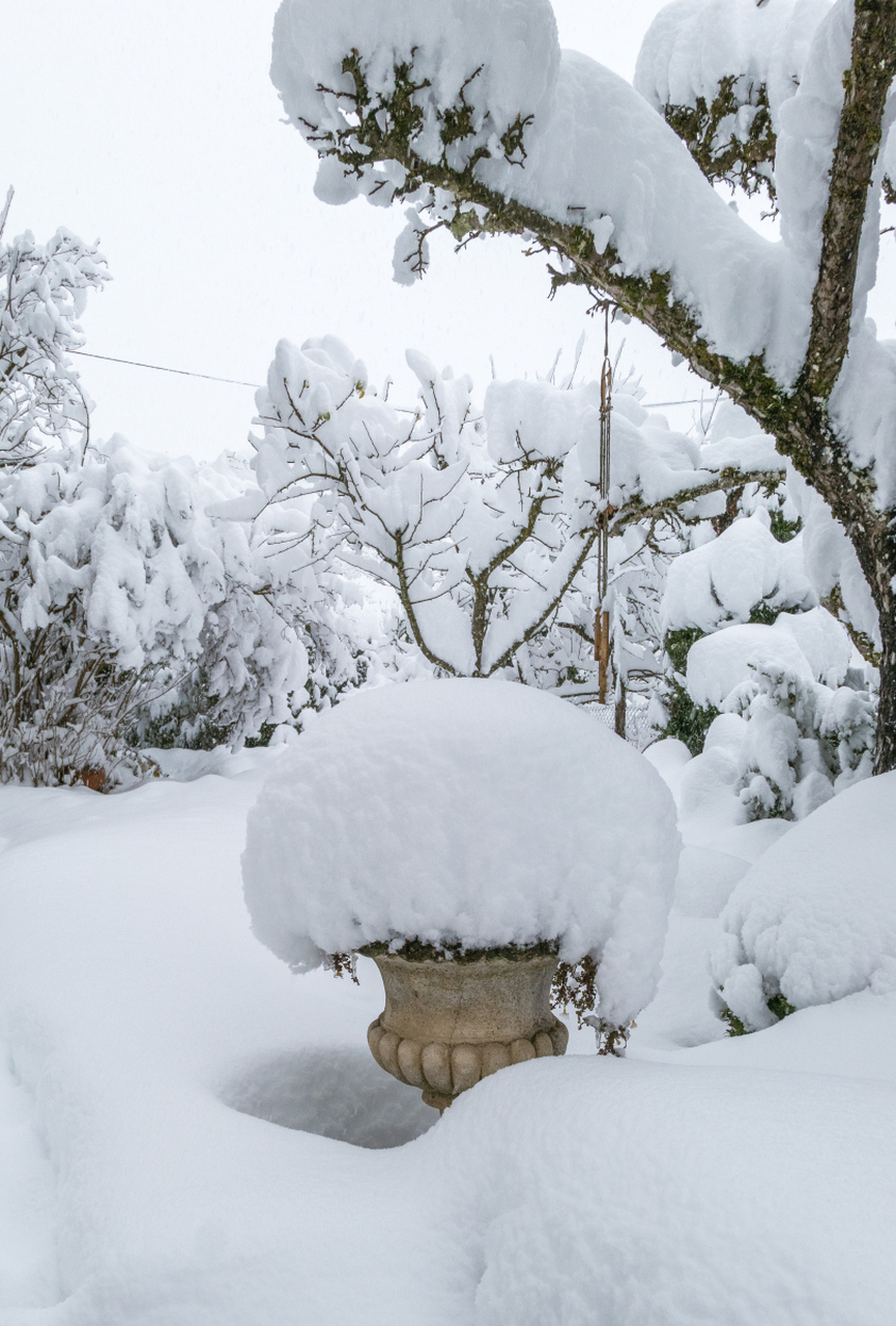 威海雪图片