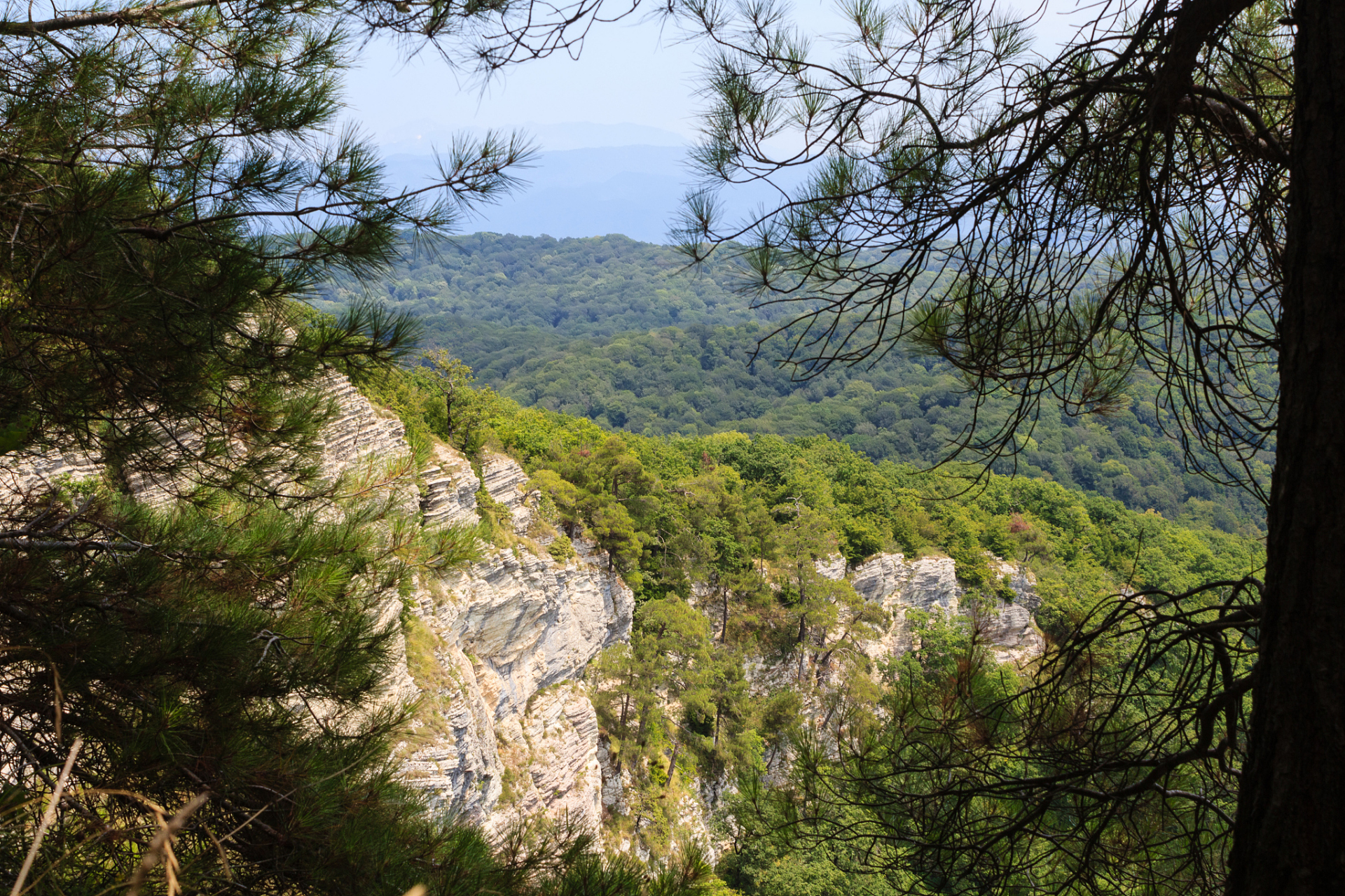 黄陵国家森林公园,位于陕西省延安市黄陵县店头镇腰坪乡朝塔村,作为一