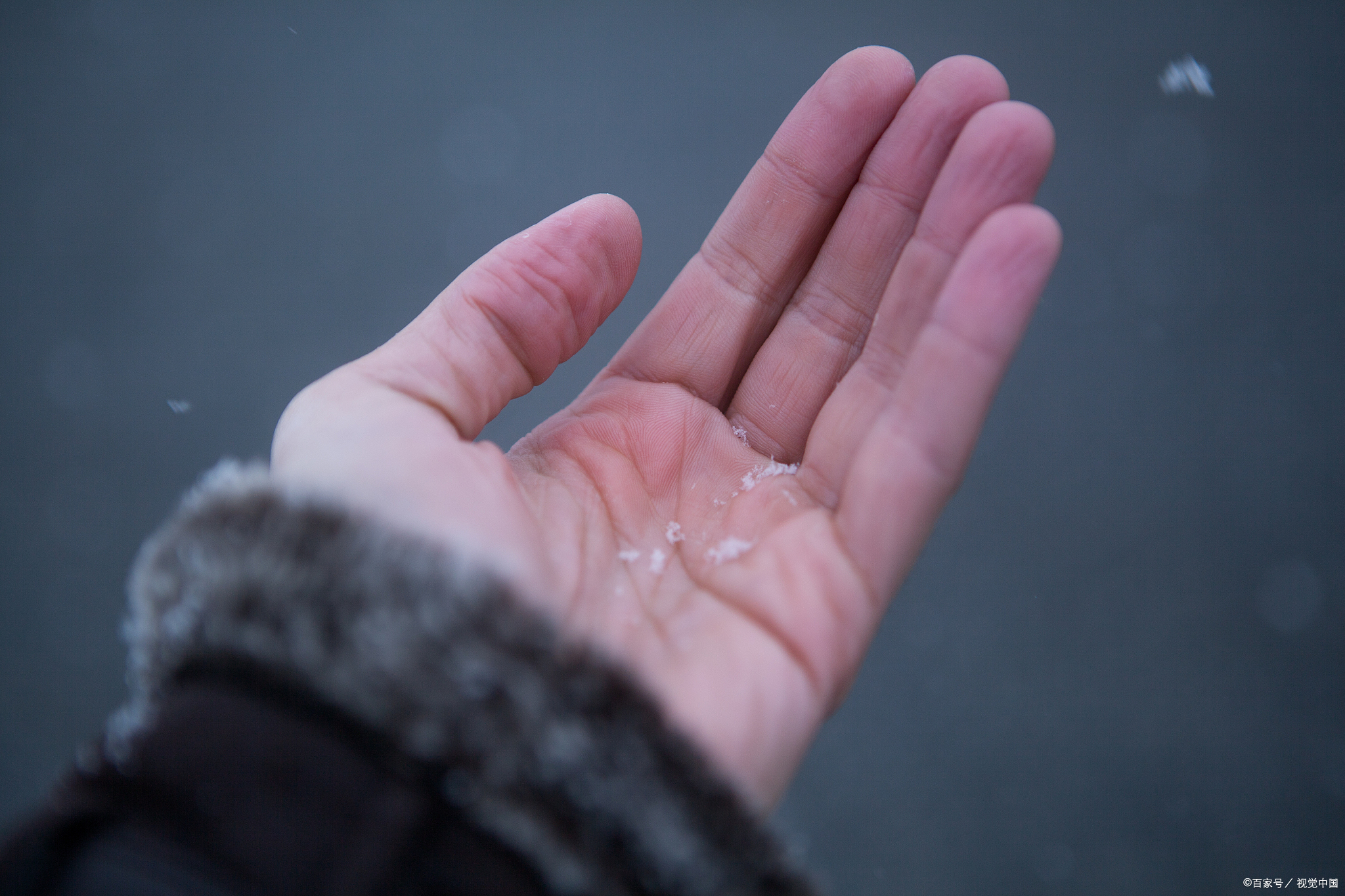 为什么天一冷,手就变成了紫色?是身体出问题了吗?