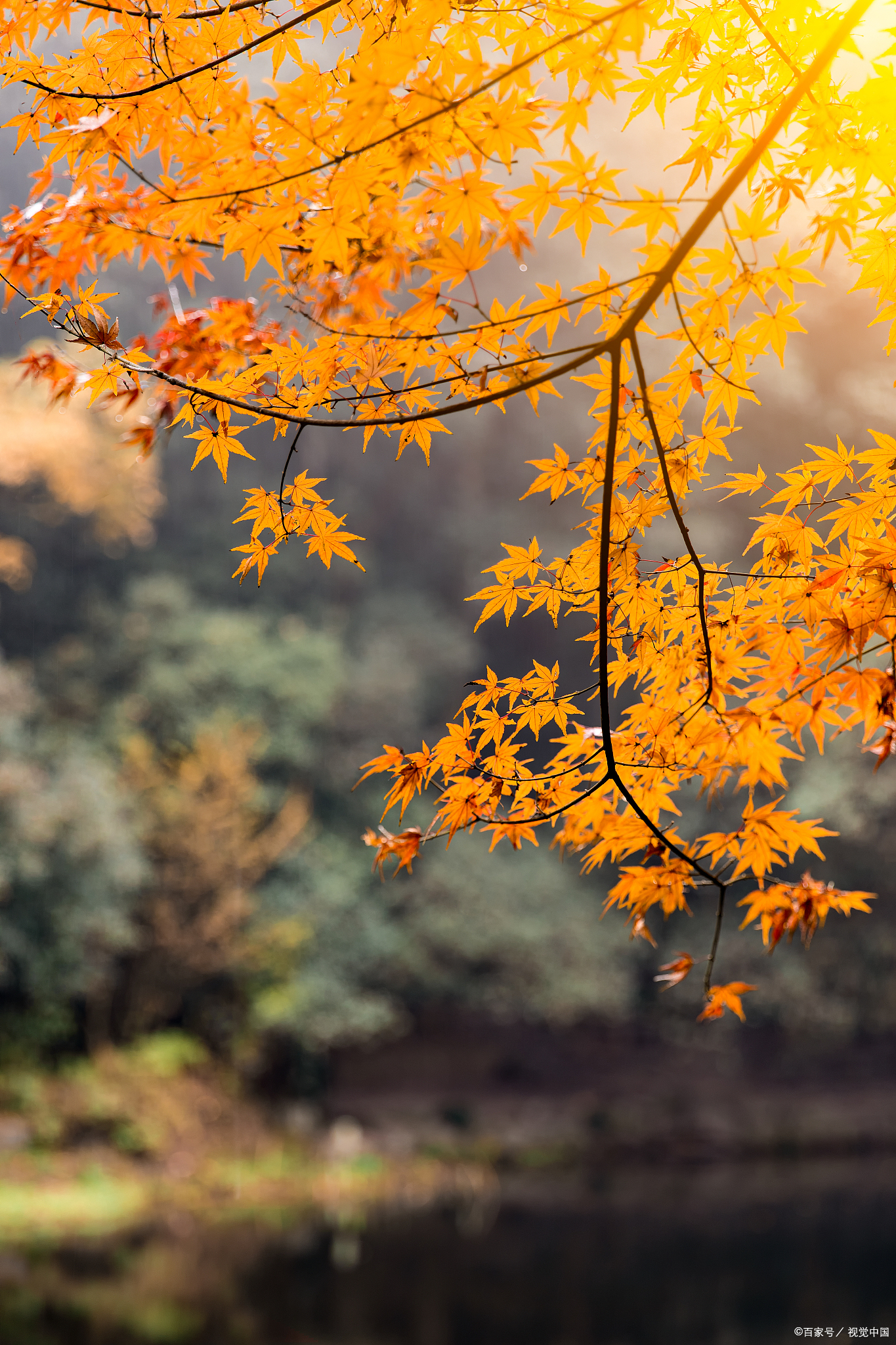 探寻秋意,立秋时节的旅行攻略