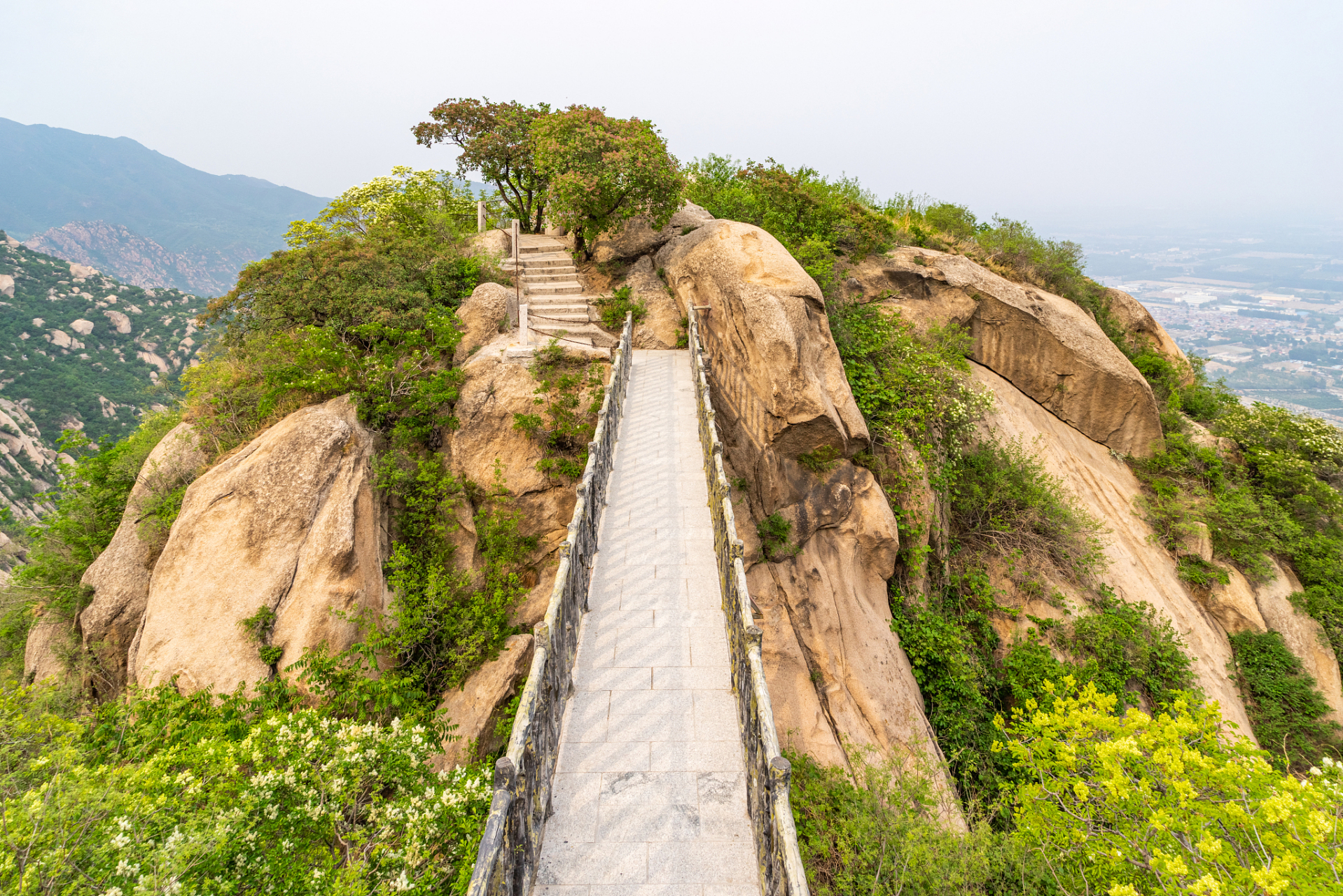 烟台大南山森林公园图片