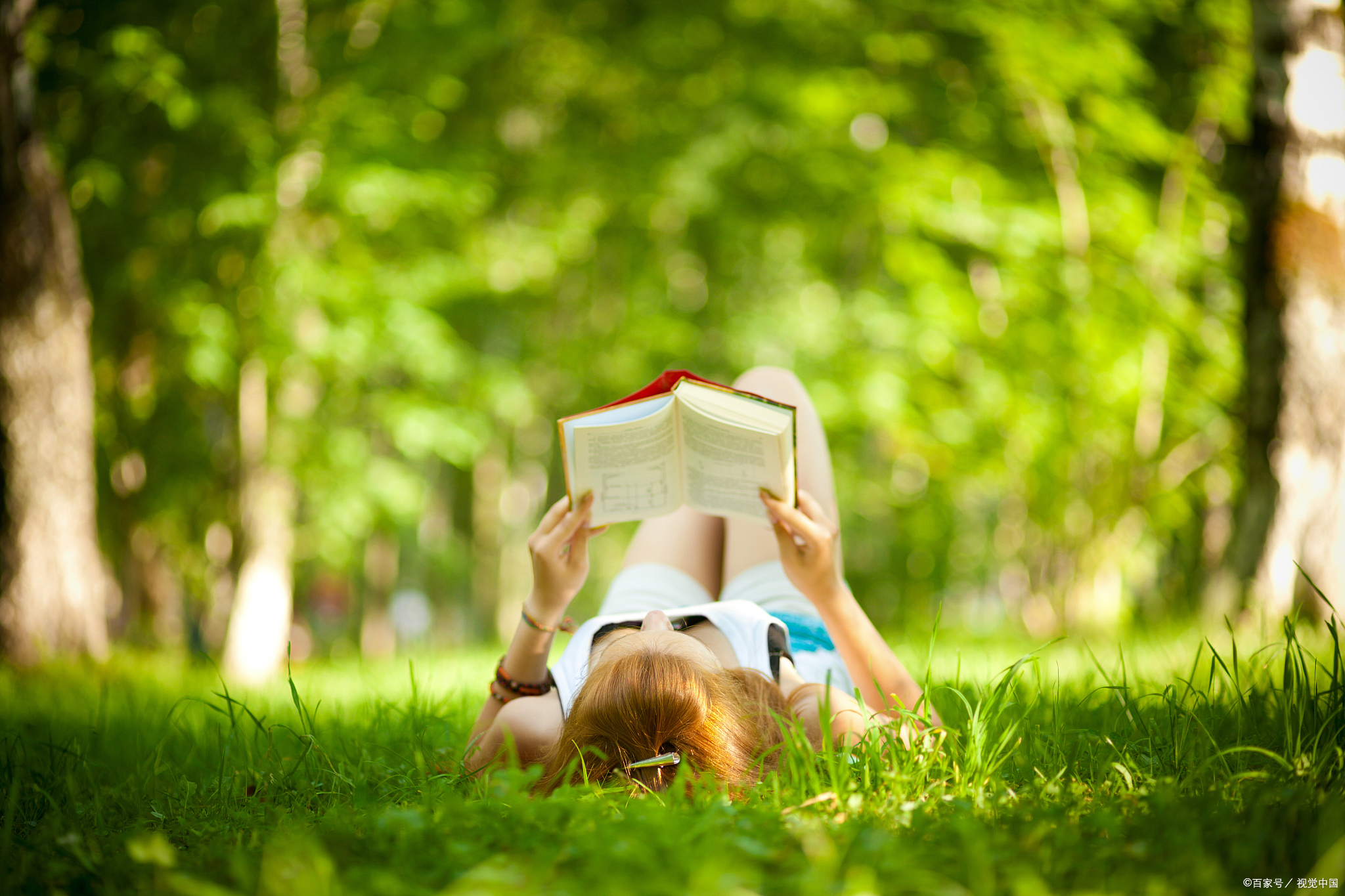 为什么不建议在强烈的阳光下读书?  朋友们,你知道吗?