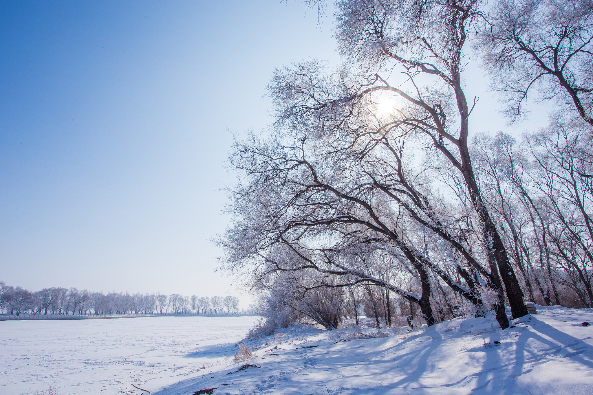 长春今天雪景图片图片