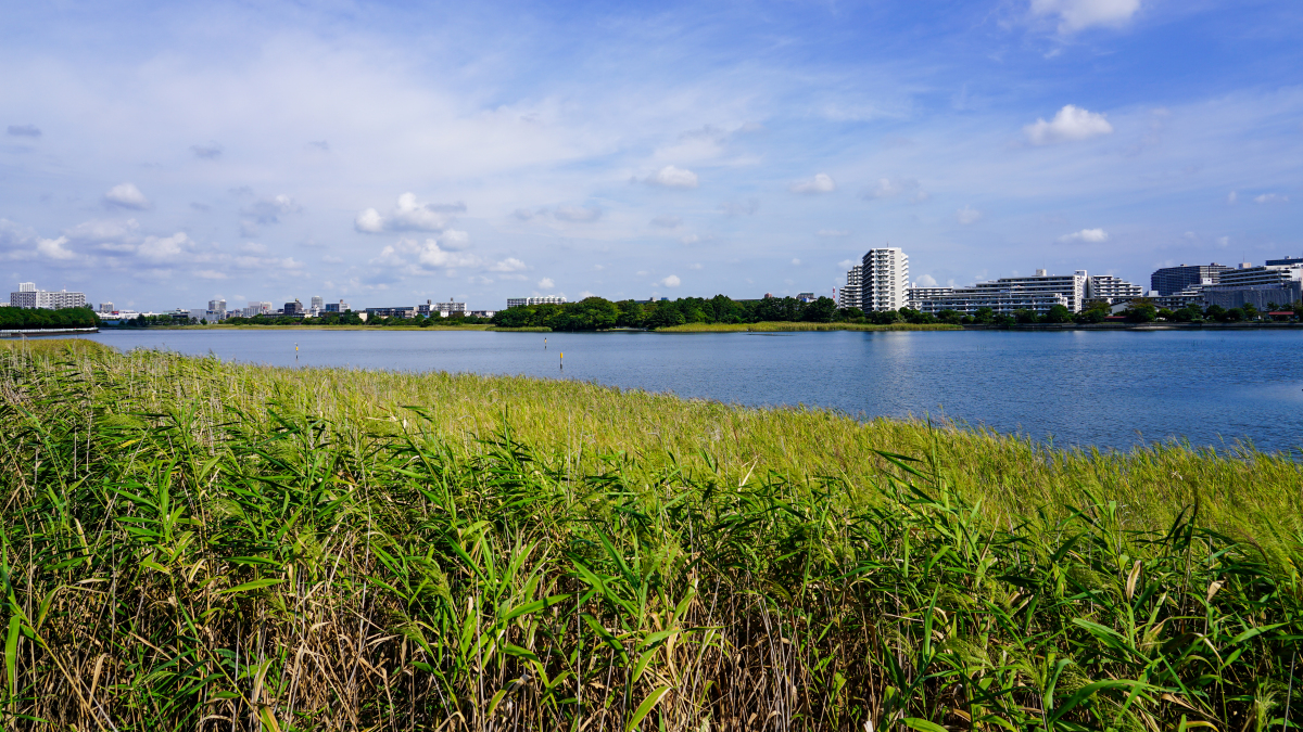 南昌五一游玩季# 瑶湖位于.@sfl学英语的动态