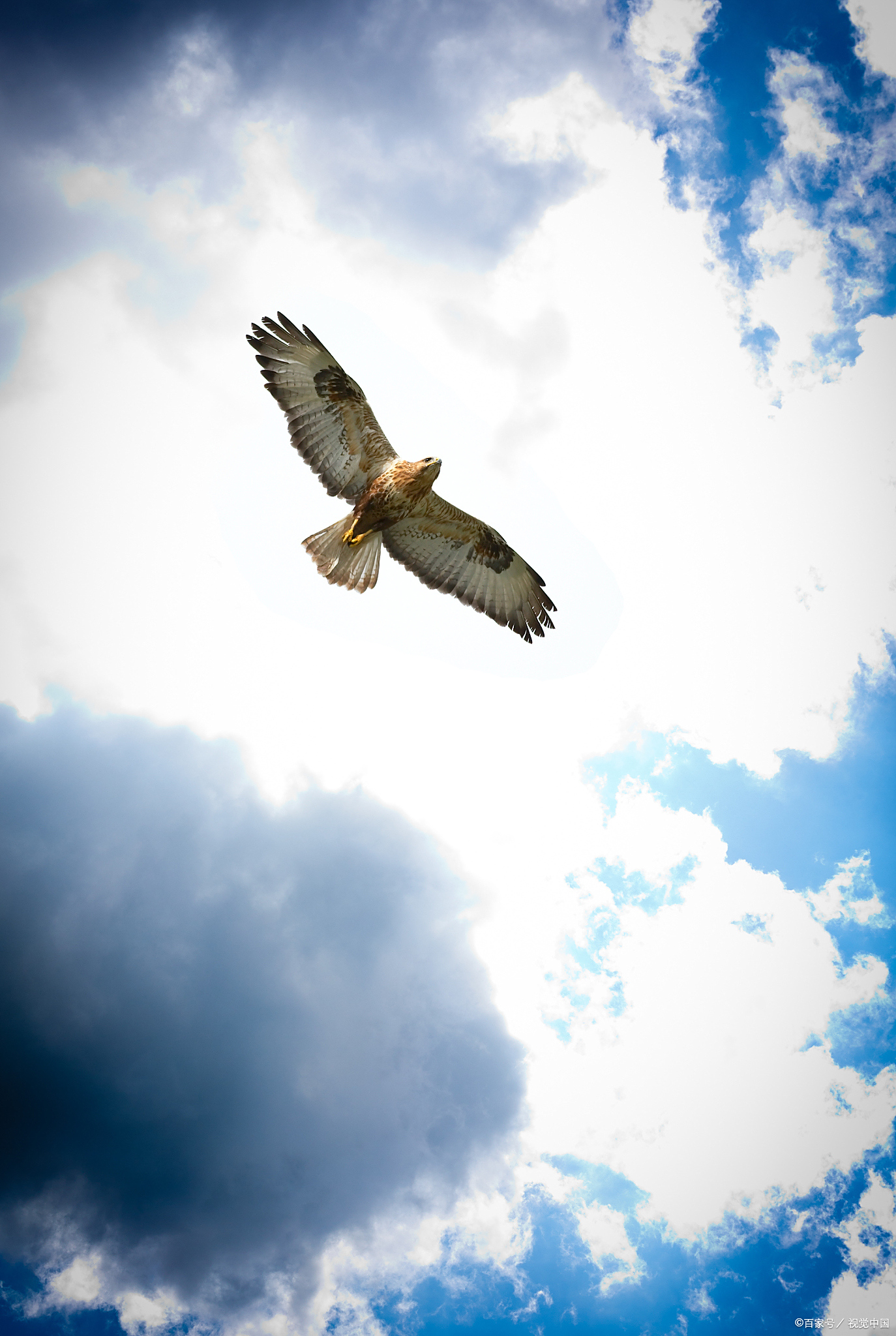 多的是你不知道的事# 人到四十,一事无成,如何面对,避无可避