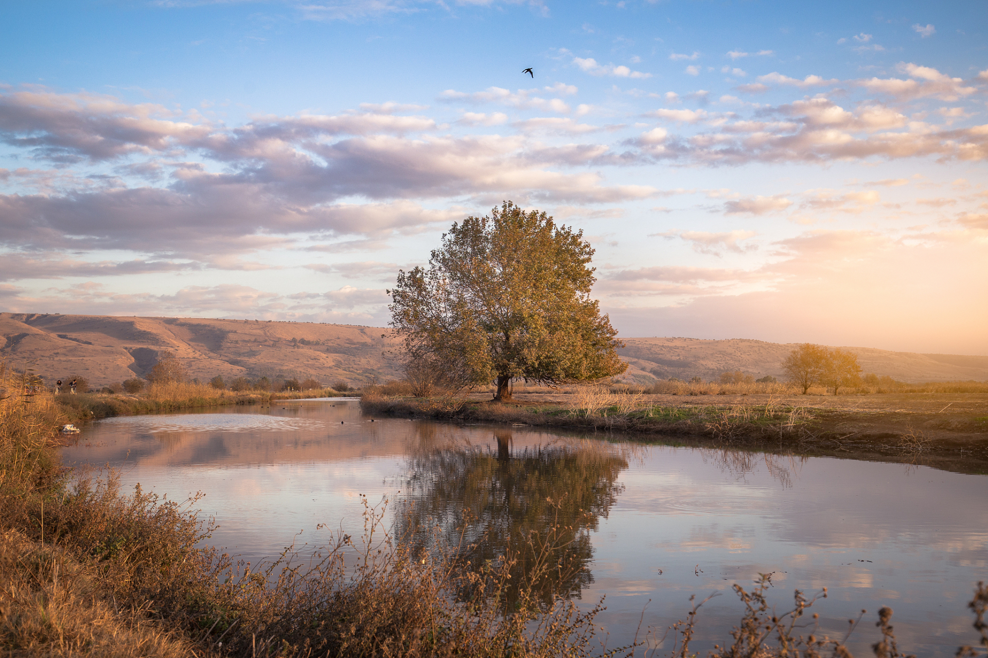 享受独处:孤独不是逃避,是建立自己的宇宙  梭罗在28～30岁时迁居到