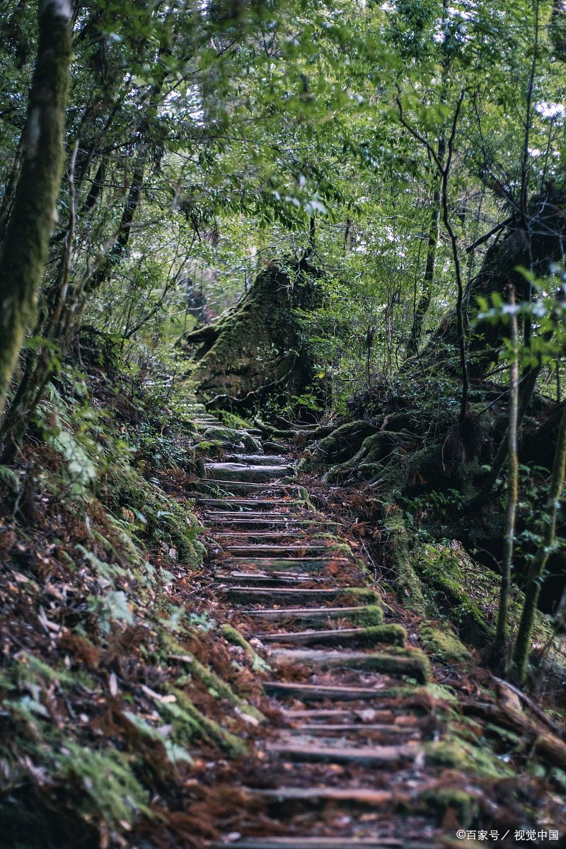 绍兴秦望山古道图片