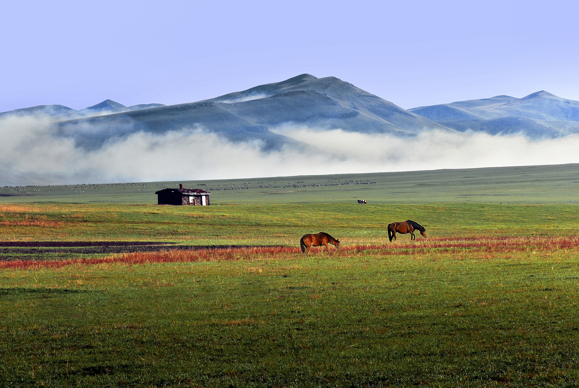 《活力内蒙古:祖国北疆的亮丽风景线》  内蒙古,这片