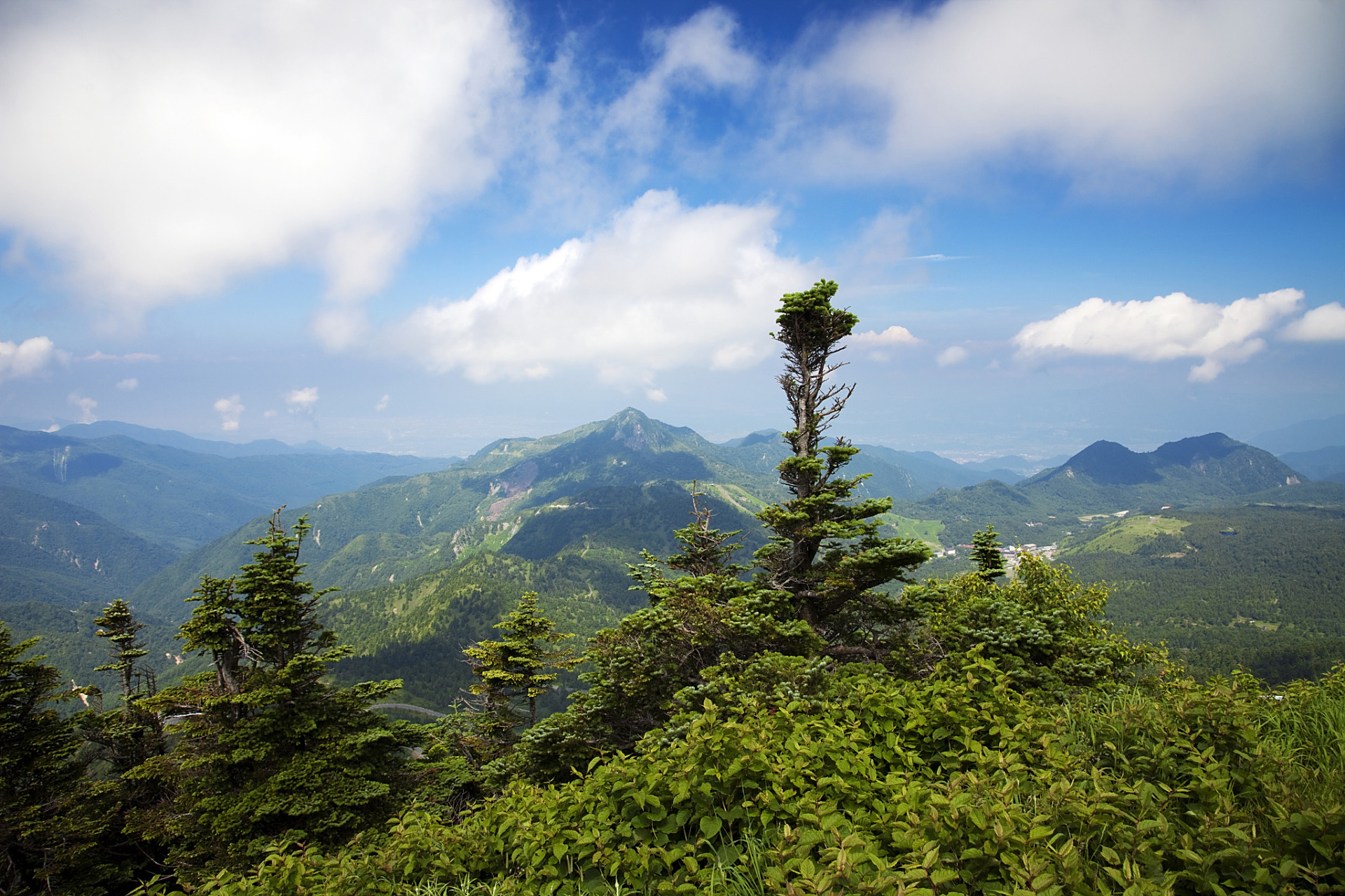 河南信阳黄柏山国家森林公园,一个远离城市喧嚣的地方.