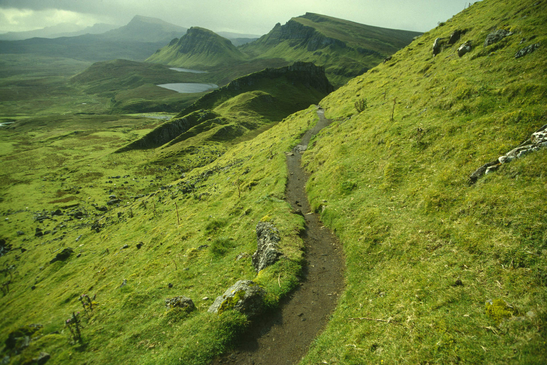 手术衣, 这一抹医院中独特的绿色风景, 不仅仅是医疗服饰的简单选择