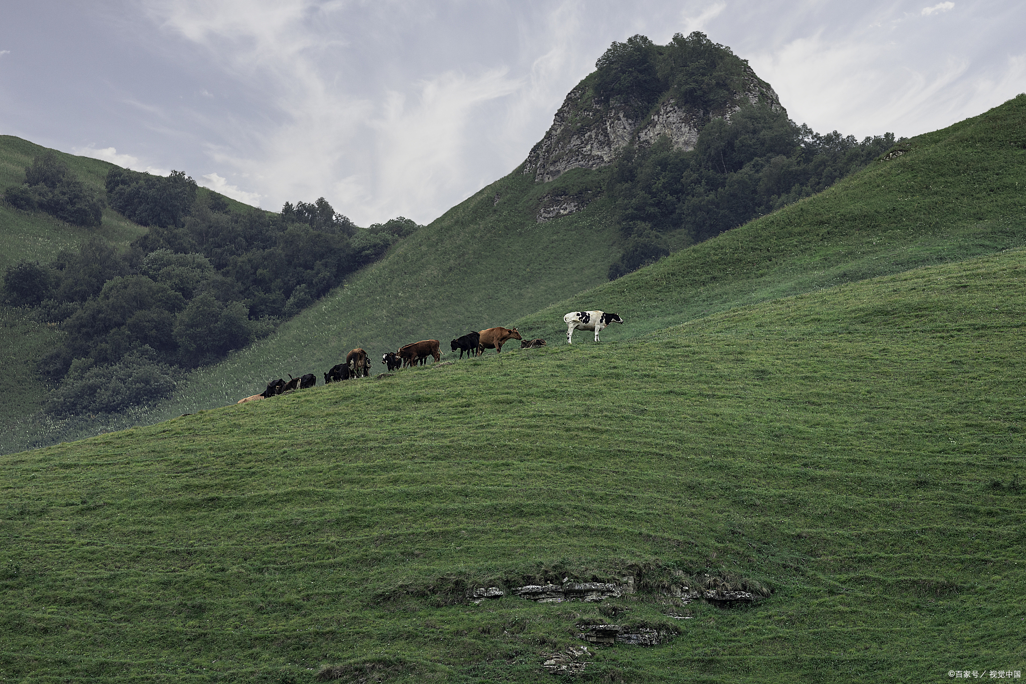 湖北省保康南顶草原攻略:与自然和谐相处,享受绿色生活