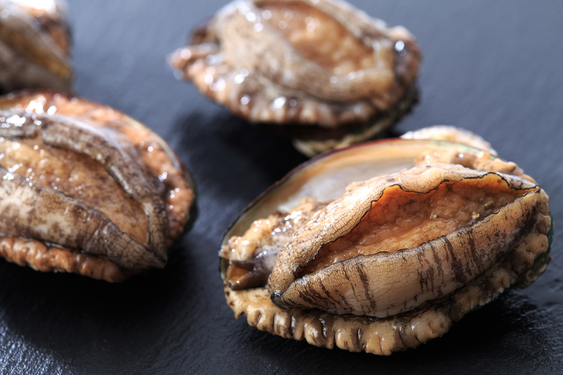 鲍贝的适量食用有助于健康饮食.