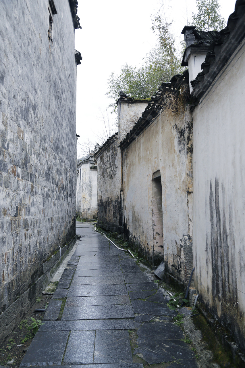 踏破了岁月的沧桑史  青石板上踩踏着 仿佛回到了古代的岁月  路边是