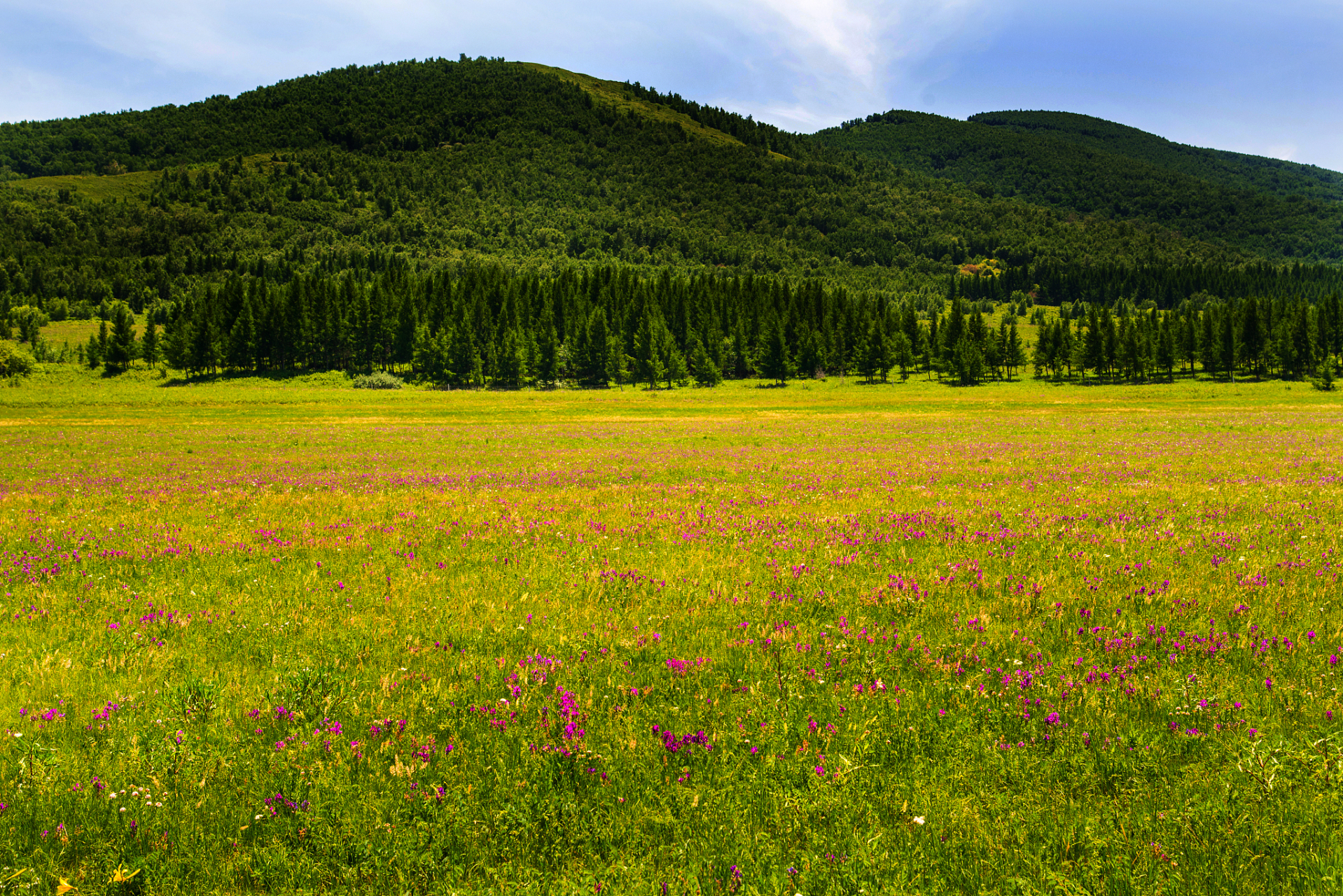 新疆那拉提旅游风景区位于天山腹地,伊犁河谷东端,集草原,沟谷,森林于