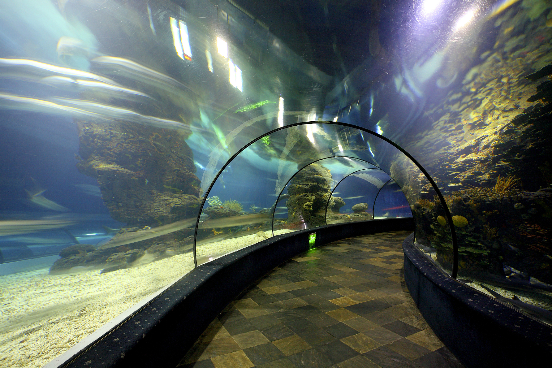 想象一下,走进义乌海洋世界,仿佛瞬间穿越到了海底的神奇世界.